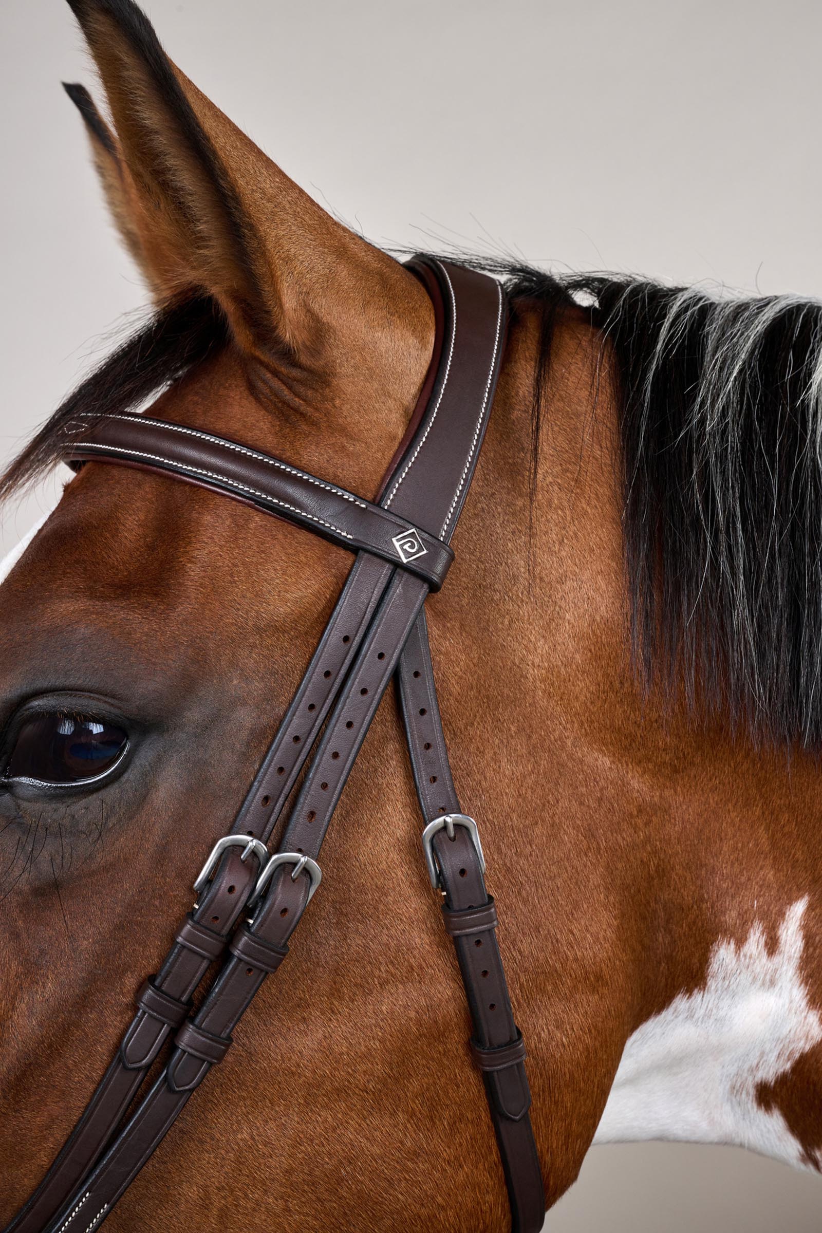 Dy'on Working hoofdstel met gecombineerde neusriem en karabijnhaken  