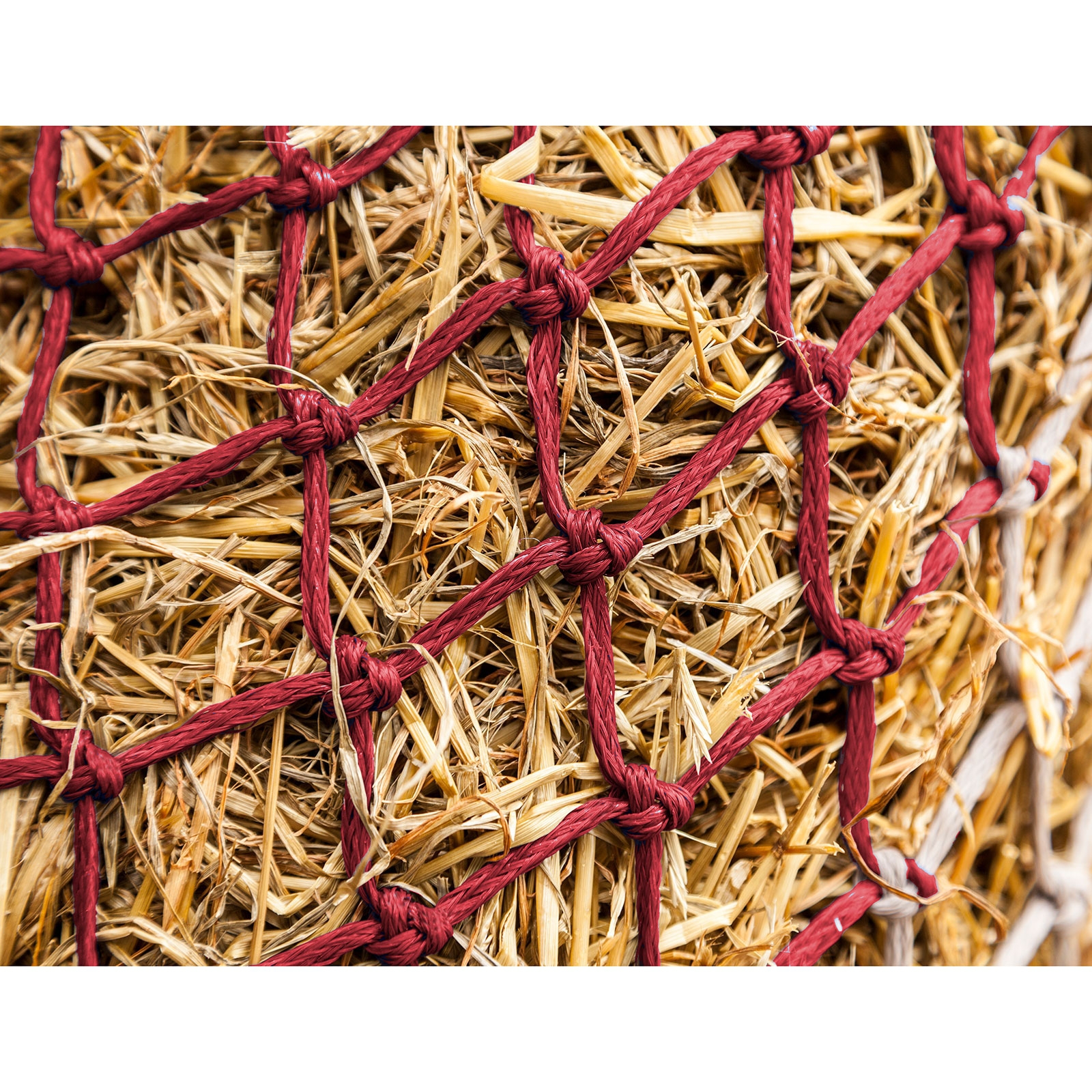 LeMieux Hippo Hooinet