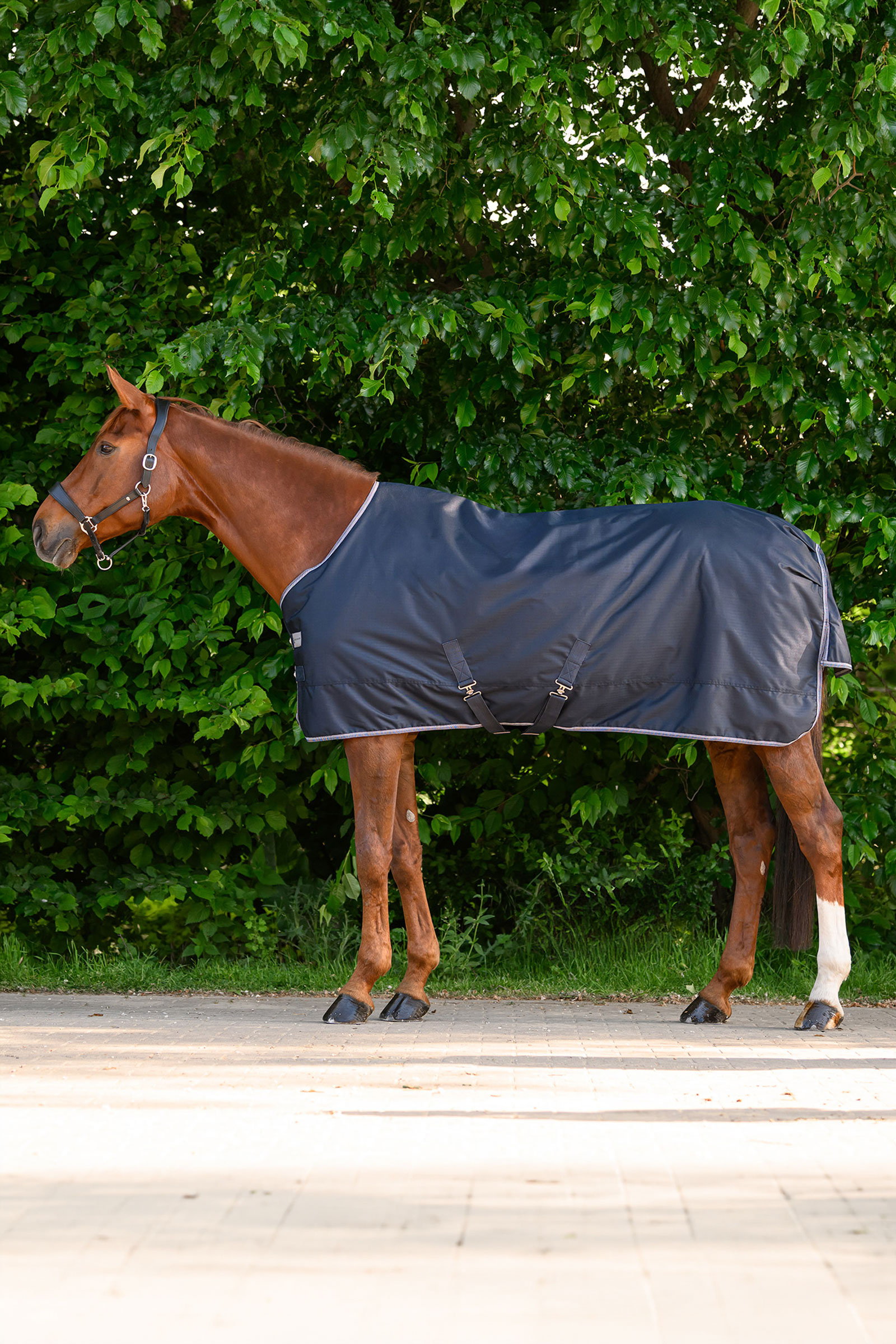 Waldhausen ECONOMIC lichte outdoordeken