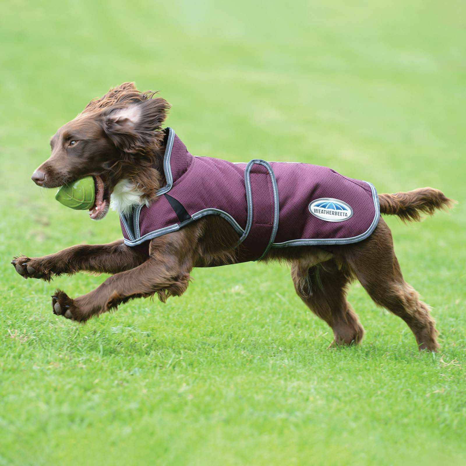 Weatherbeeta Comfitec Premier Free Parka Deluxe Dog Coat, 220g