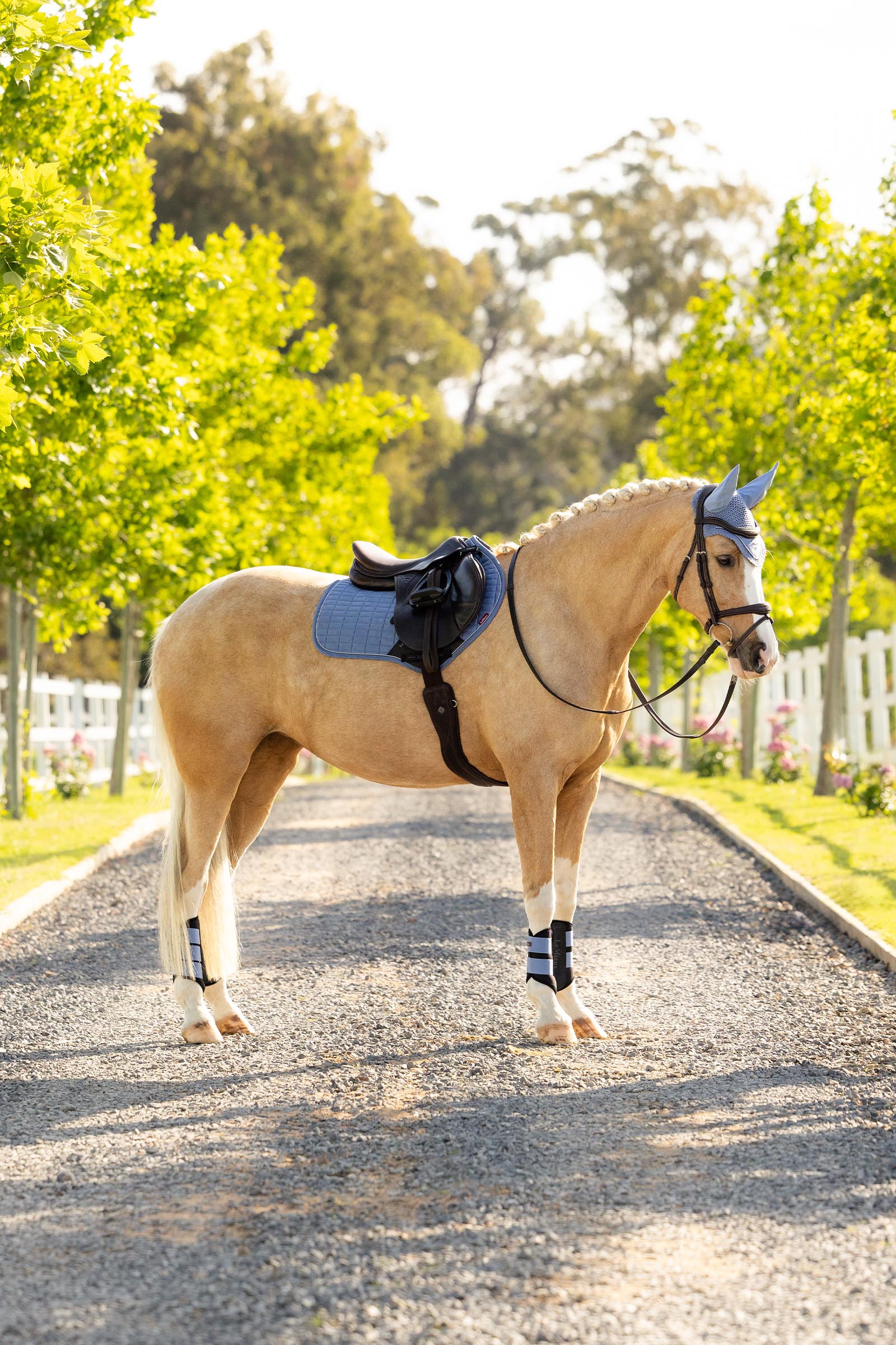 LeMieux Suede Close Contact springschabrak