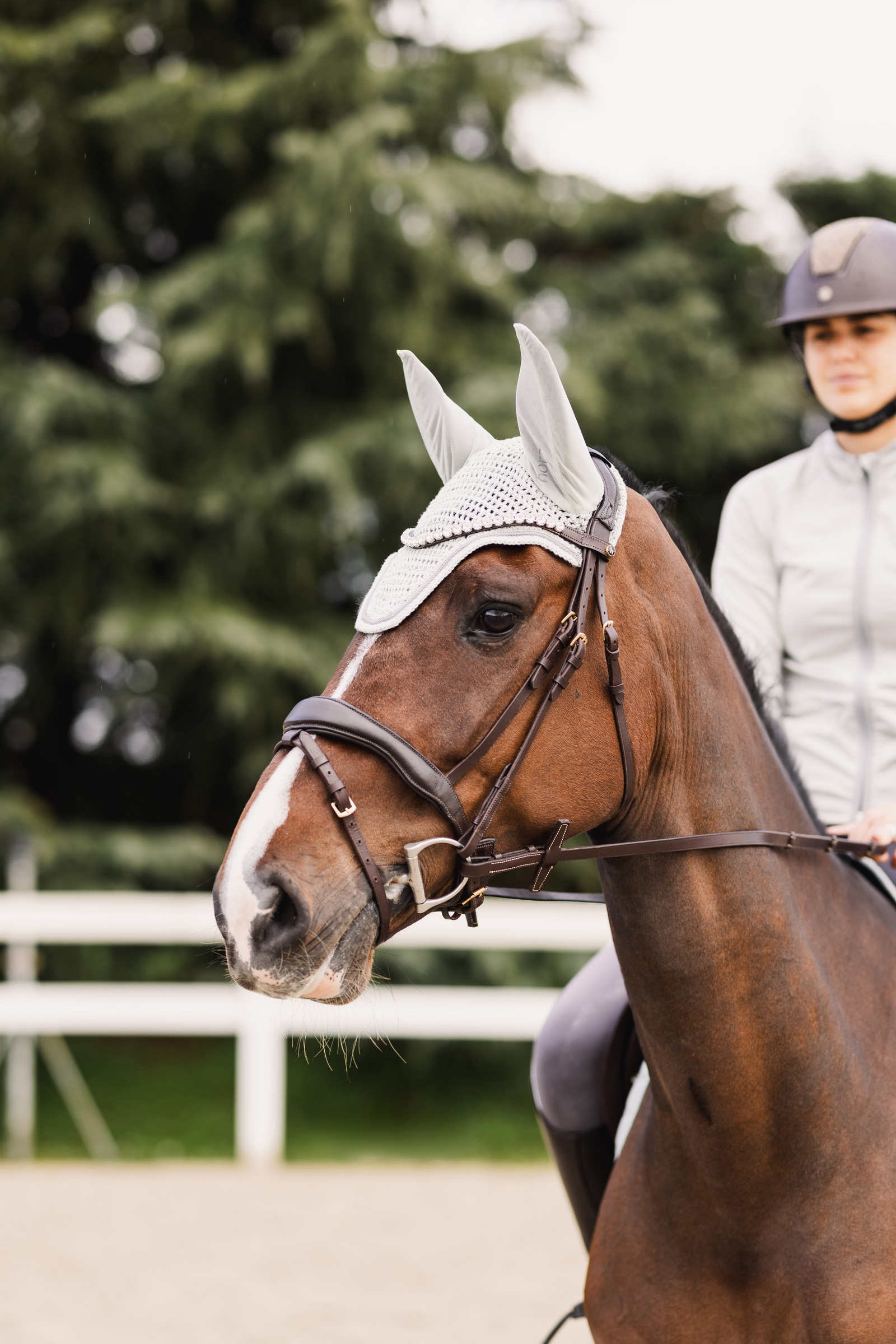 Horze Rose Tonique oornetje
