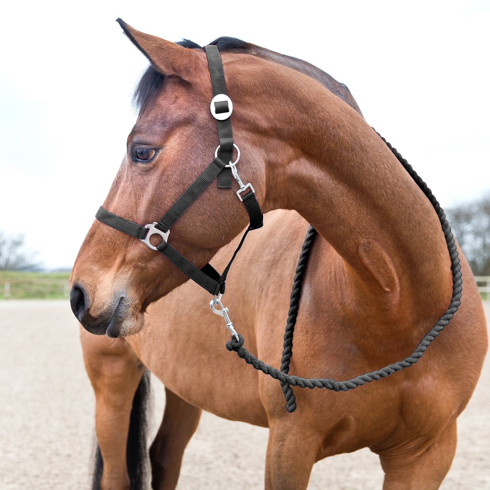 Horze Basic Halstertouw
