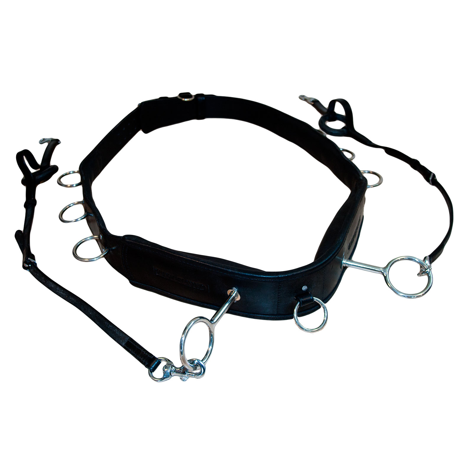 Karlslund longeersingel