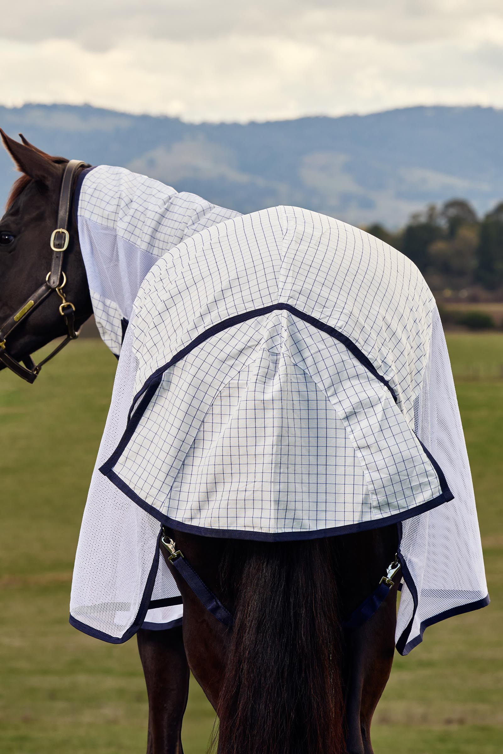 Weatherbeeta Airstream Combo met vaste hals, 0 g  