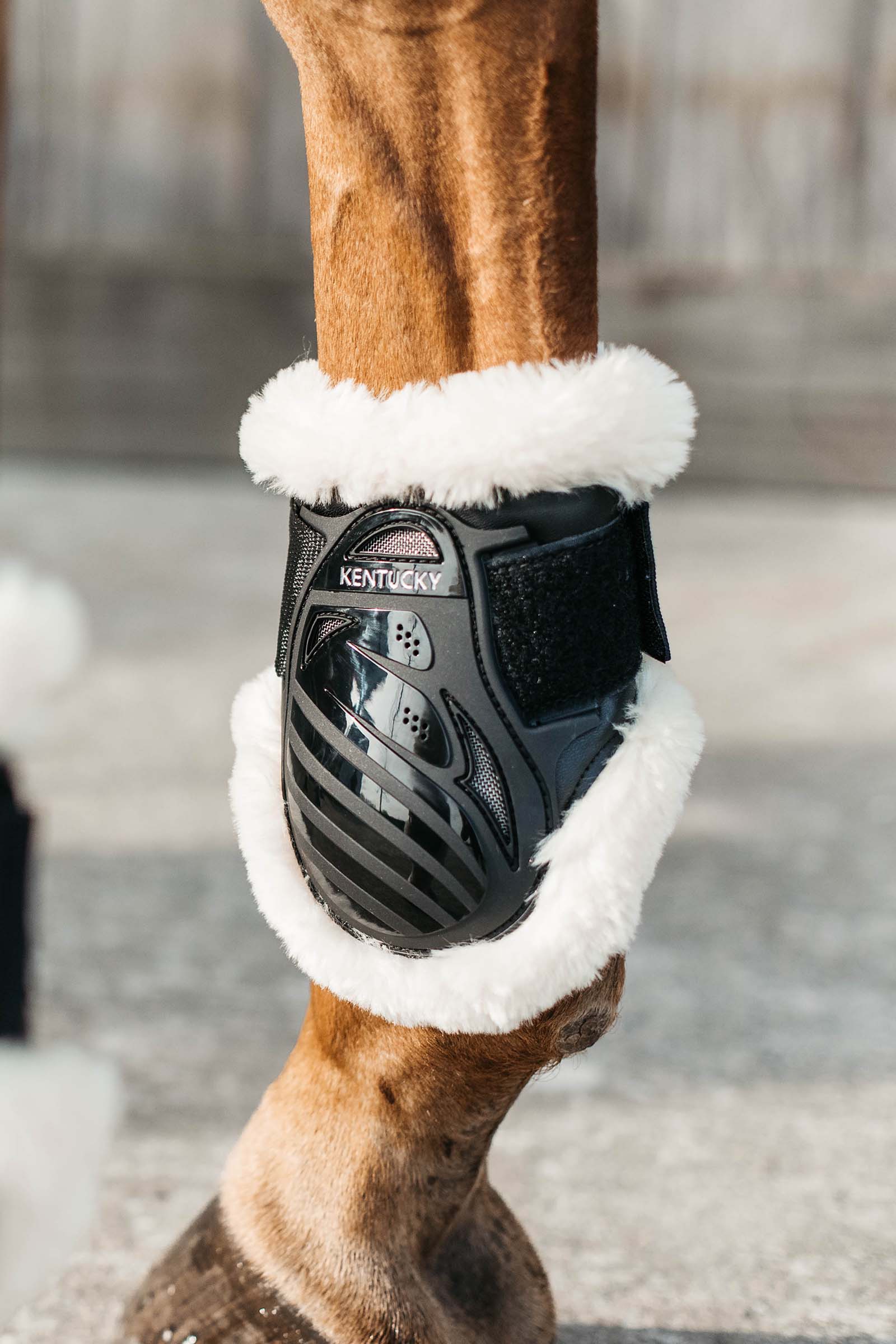 Kentucky Horsewear Kogelbeschermer Jonge Paarden Vegan Wol