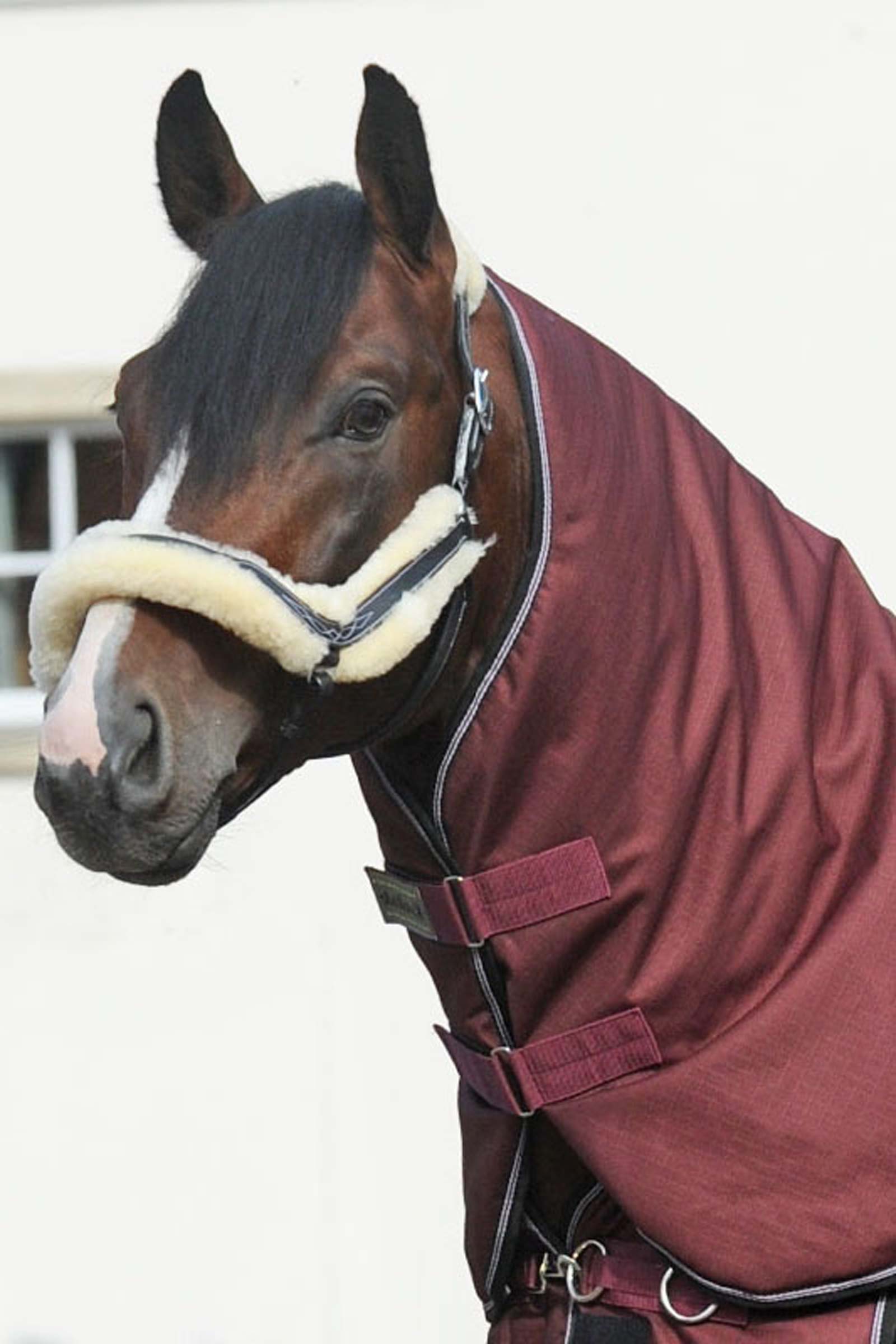 Dark Red Kavalkade Hals voor Alaska IV, 100 g