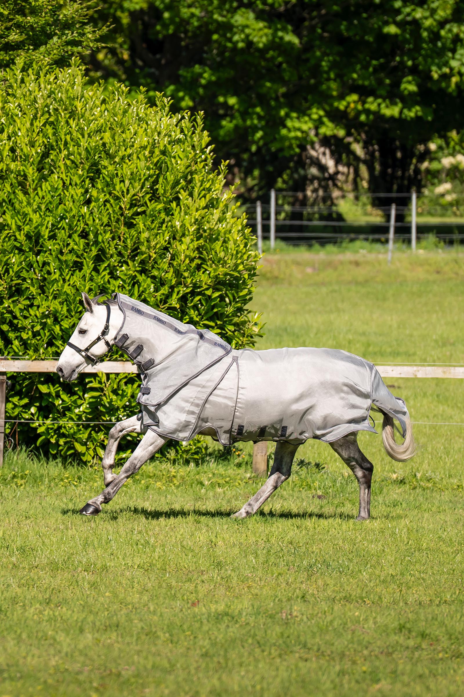 Horseware Rambo Optimo Protector Plus regendeken
