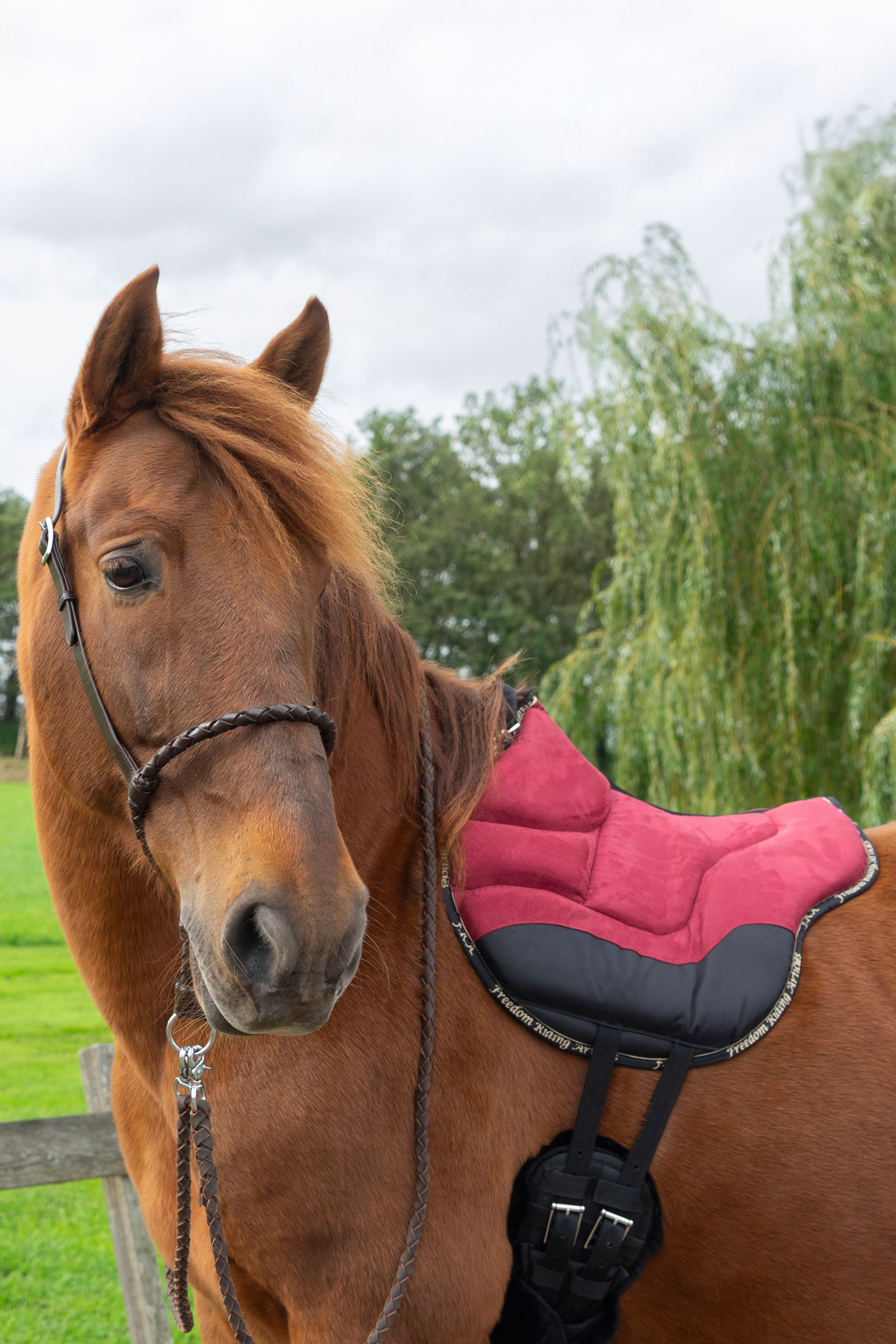 F.R.A. Freedom Riding Articles Dardo basis rijpad  