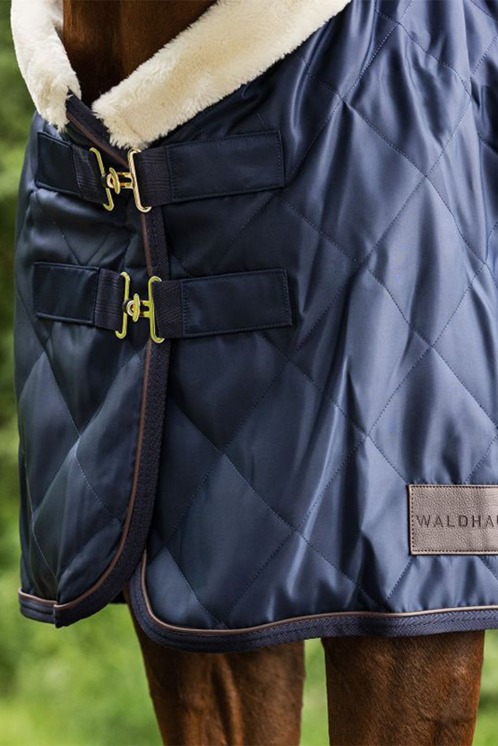 Waldhausen Exclusive Reisdeken, 50g