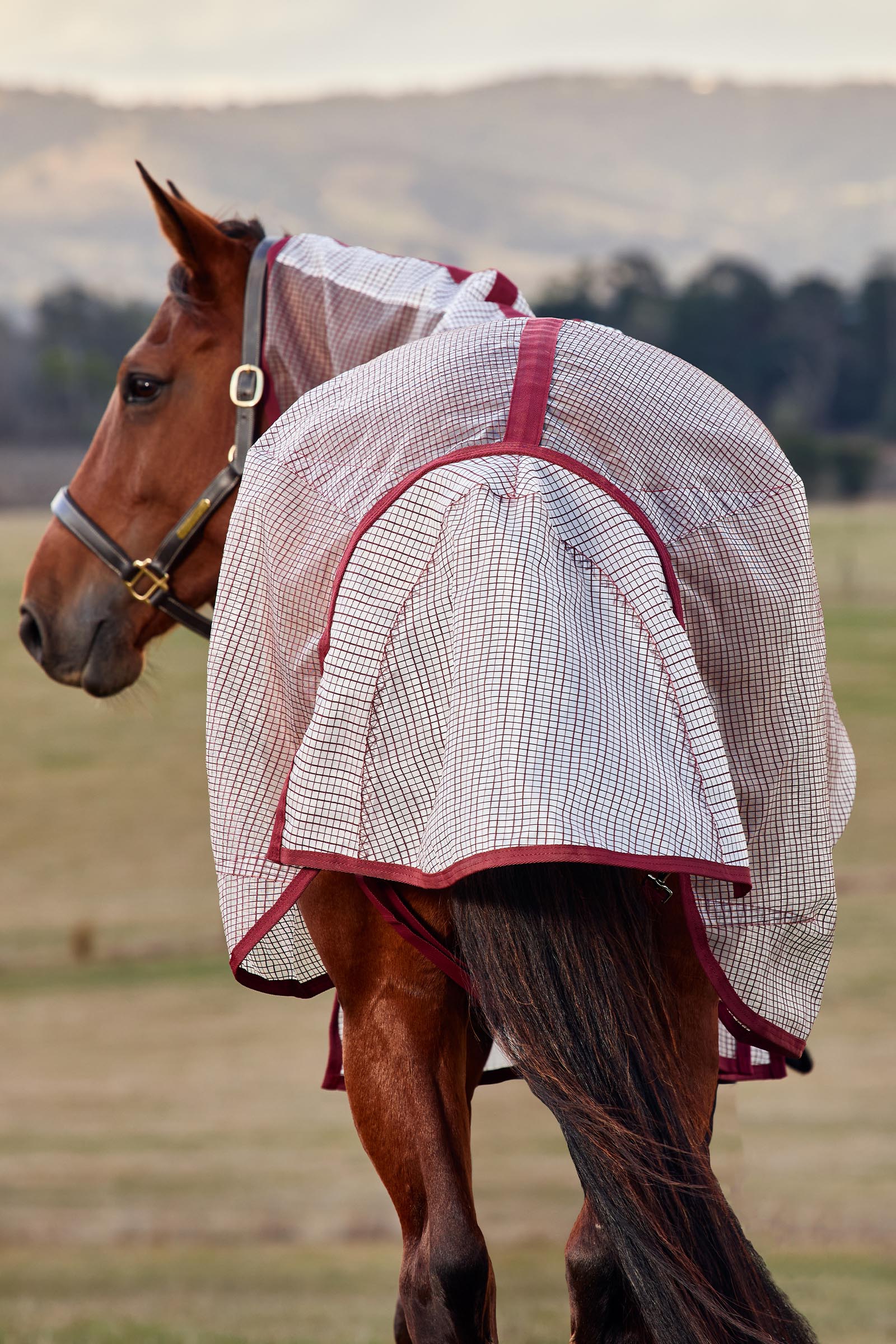 Weatherbeeta ComFiTec Ripshield Vliegendeken met afneembare hals, 0 g  