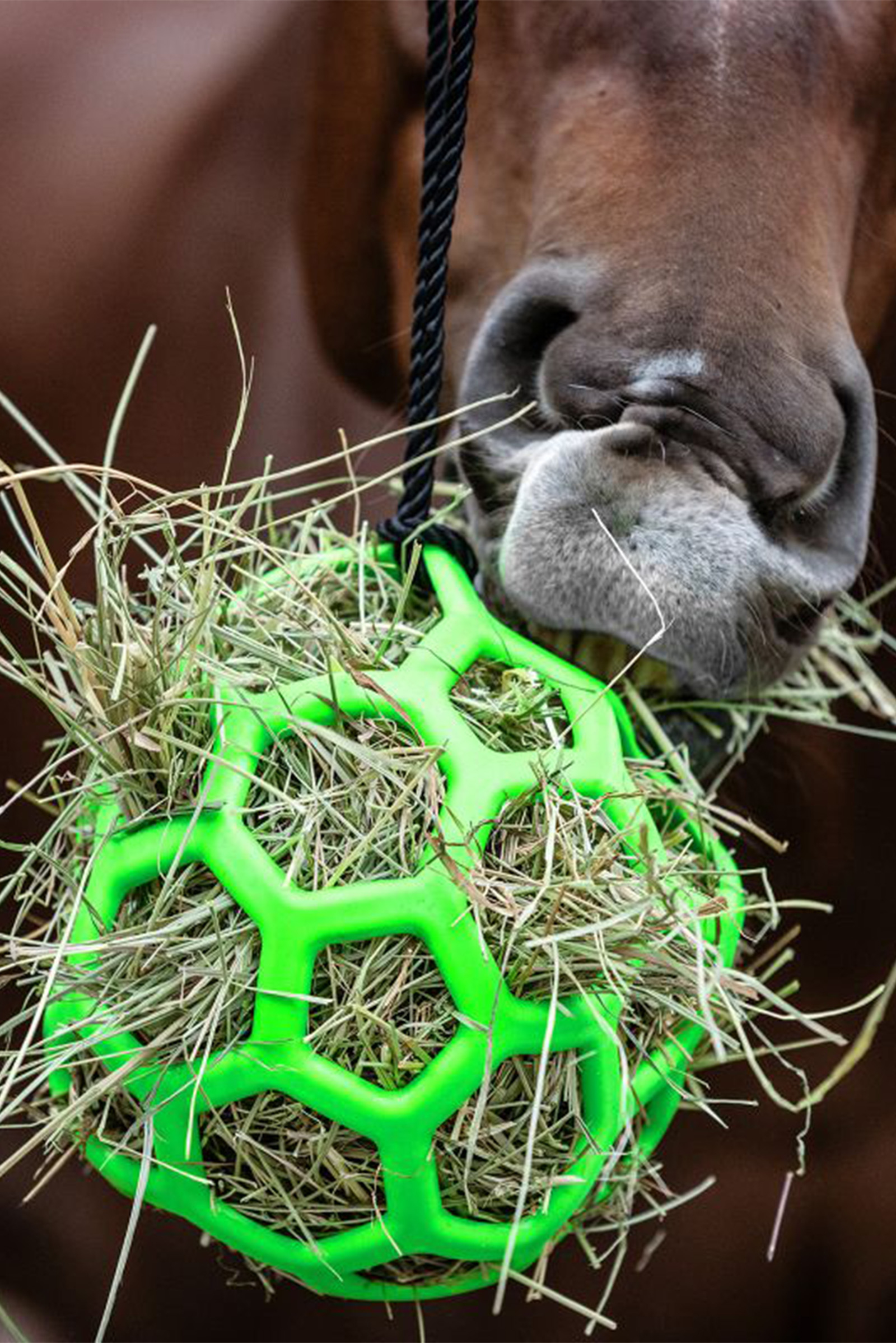 green Waldhausen hooibal