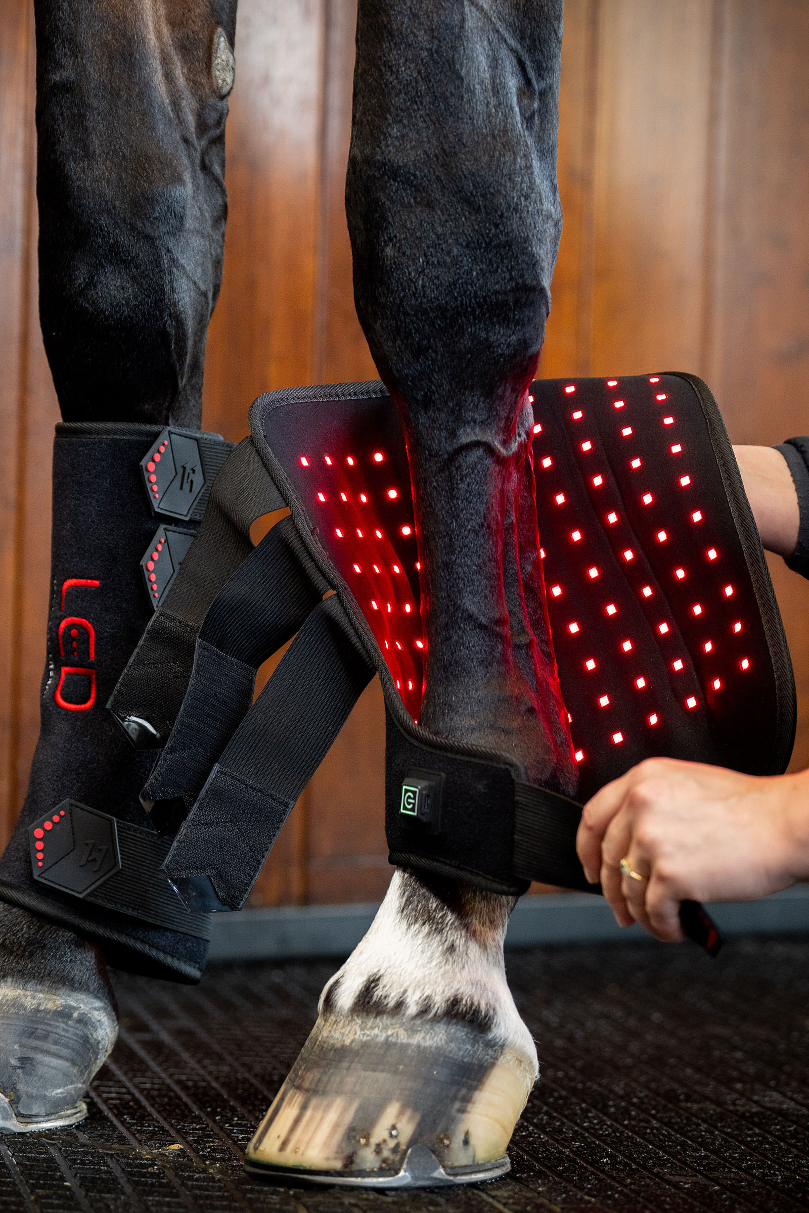 Horseware LED roodlichttherapie beenbeschermer (1 st.)