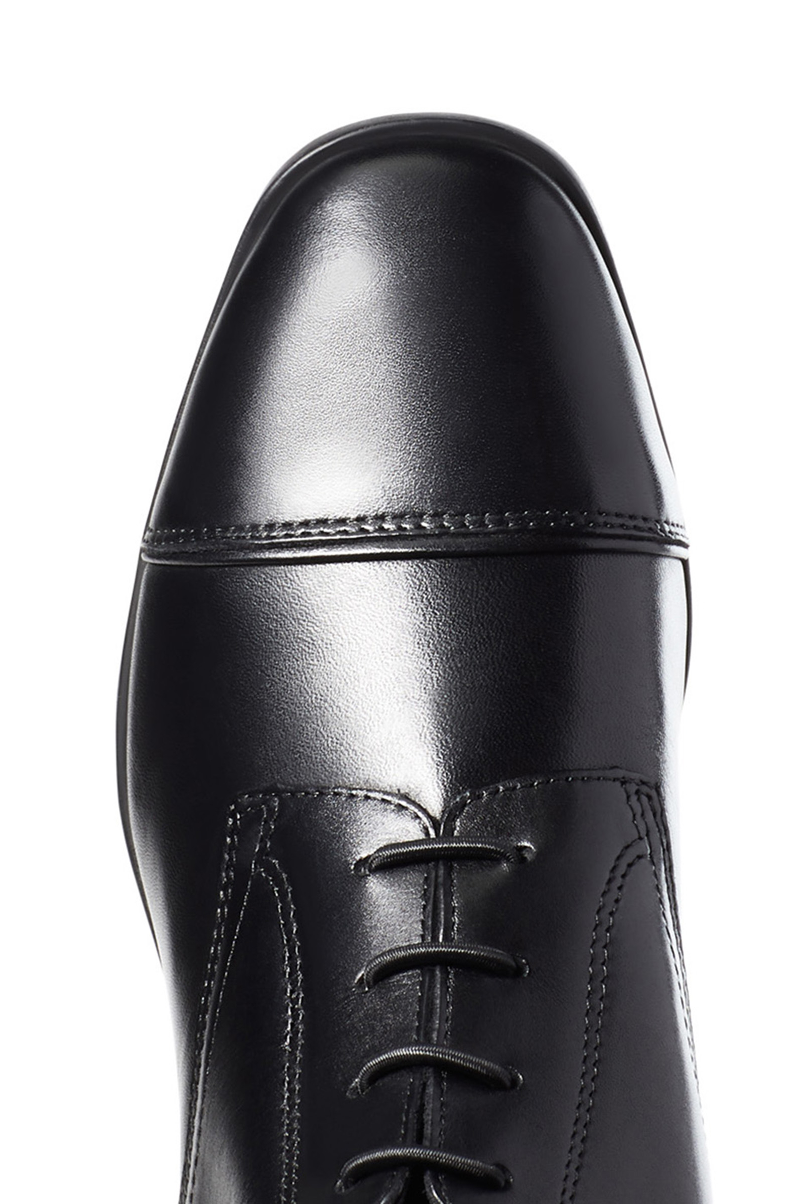 Ariat Palisade dames lange rijlaarzen