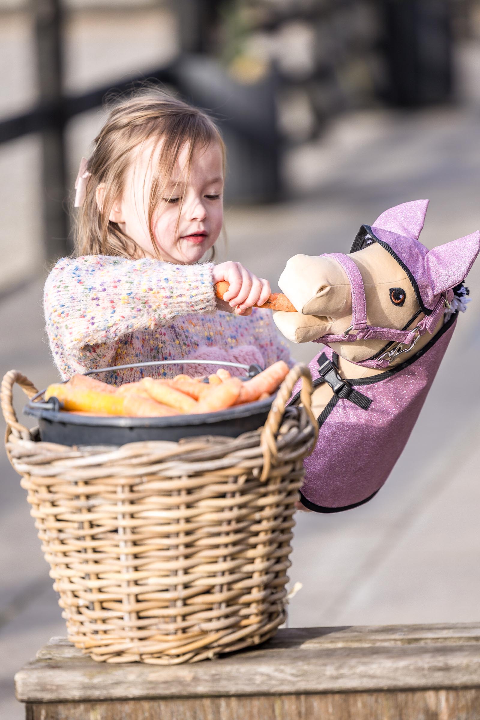 My Hobby Horse deken en vliegenkap