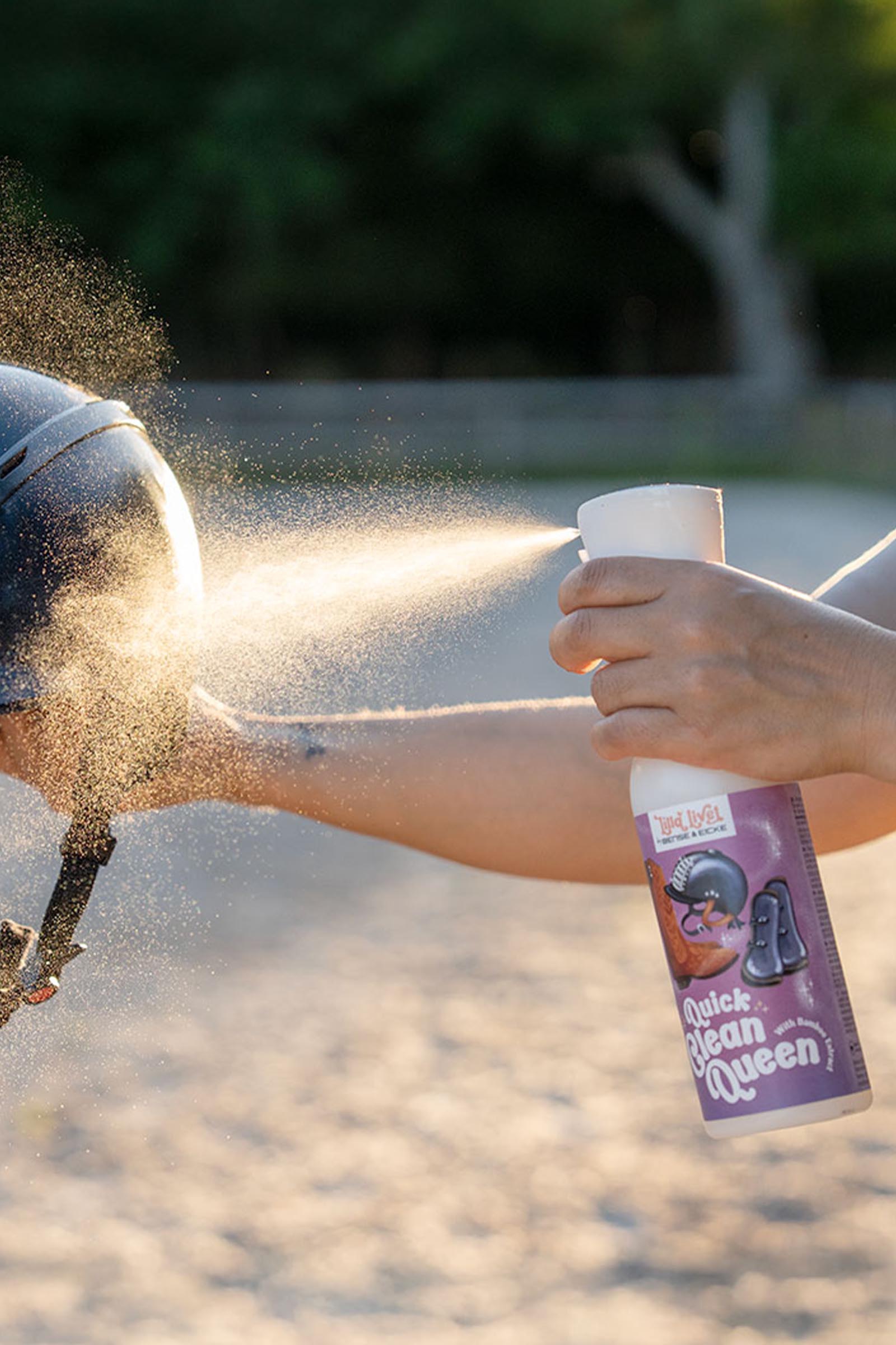 Bense & Eicke Lilla Livet Quick Clean Queen reiniger voor uitrusting, 500 ml