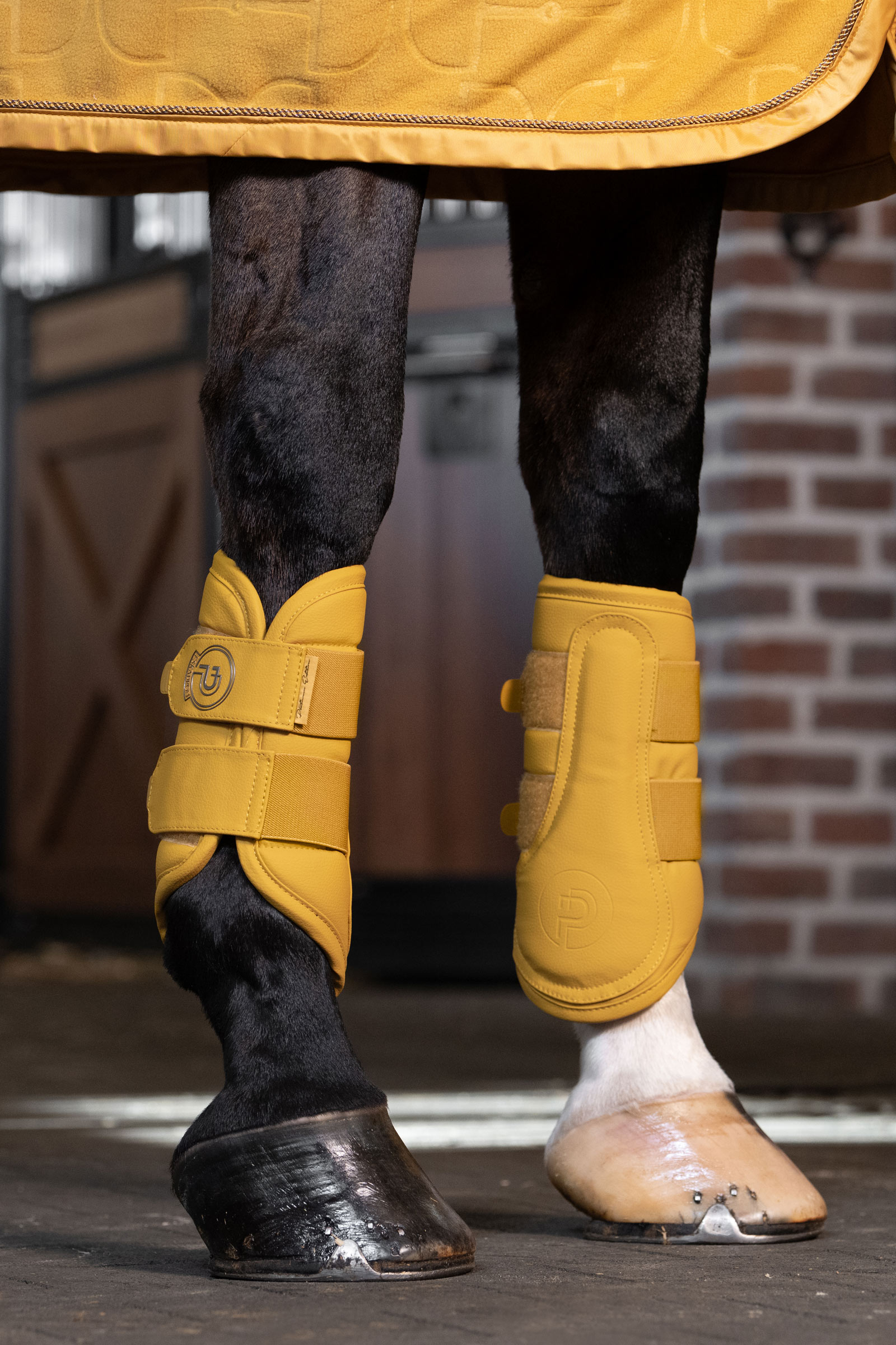 Eskadron Platinum 25 Peesbeschermers van kunstleer