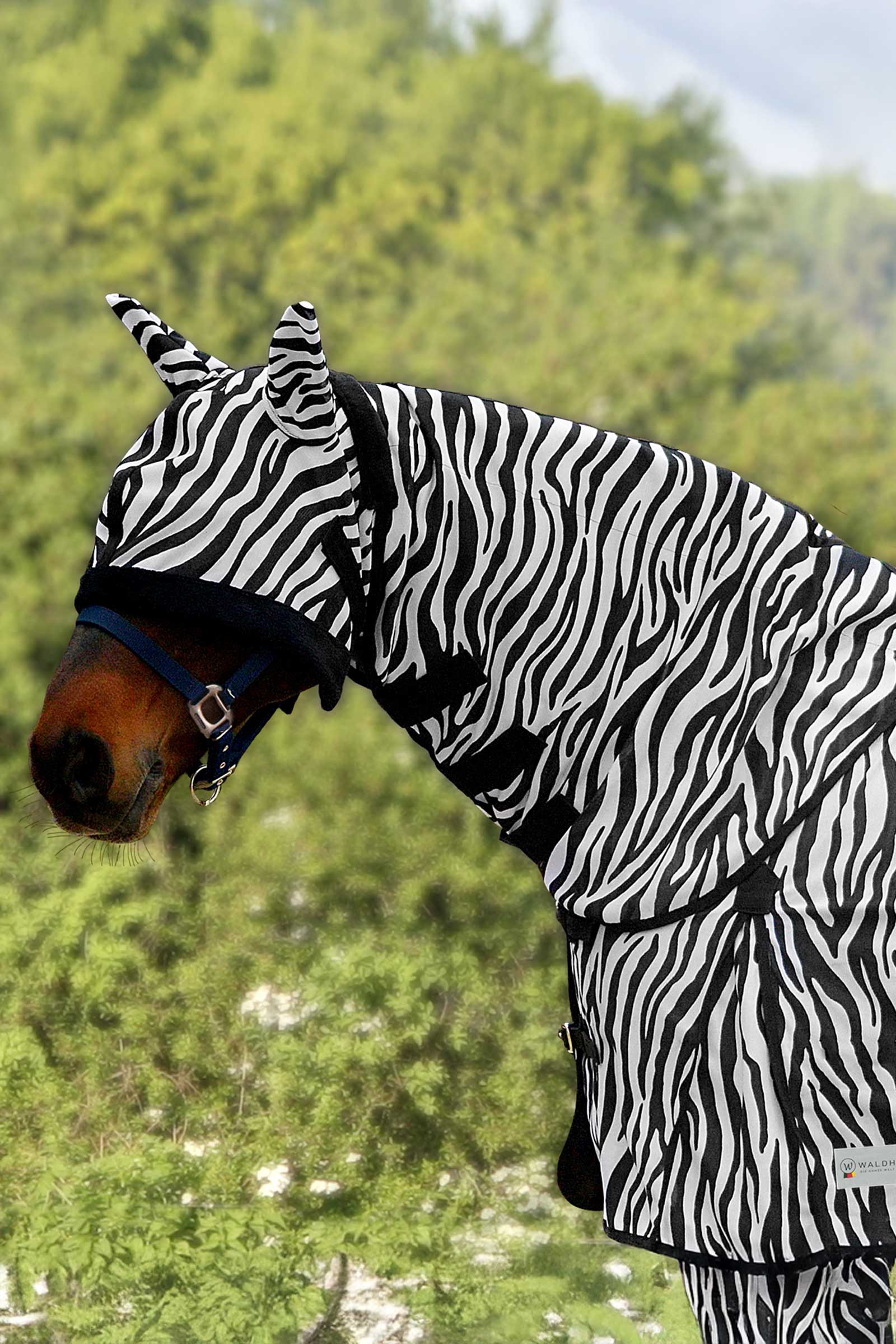 Waldhausen Zebra vliegenhalstuk