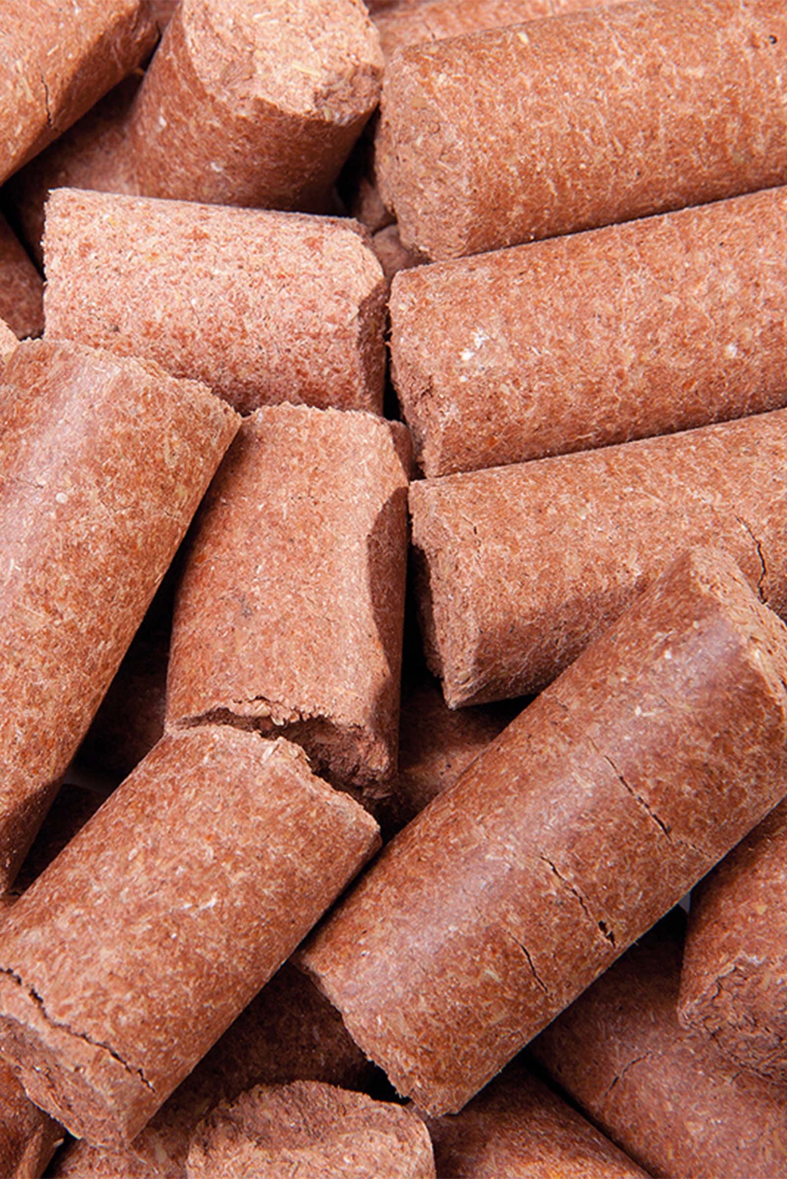 Speed Carrot Delicious Speedies, Treats, 5kg