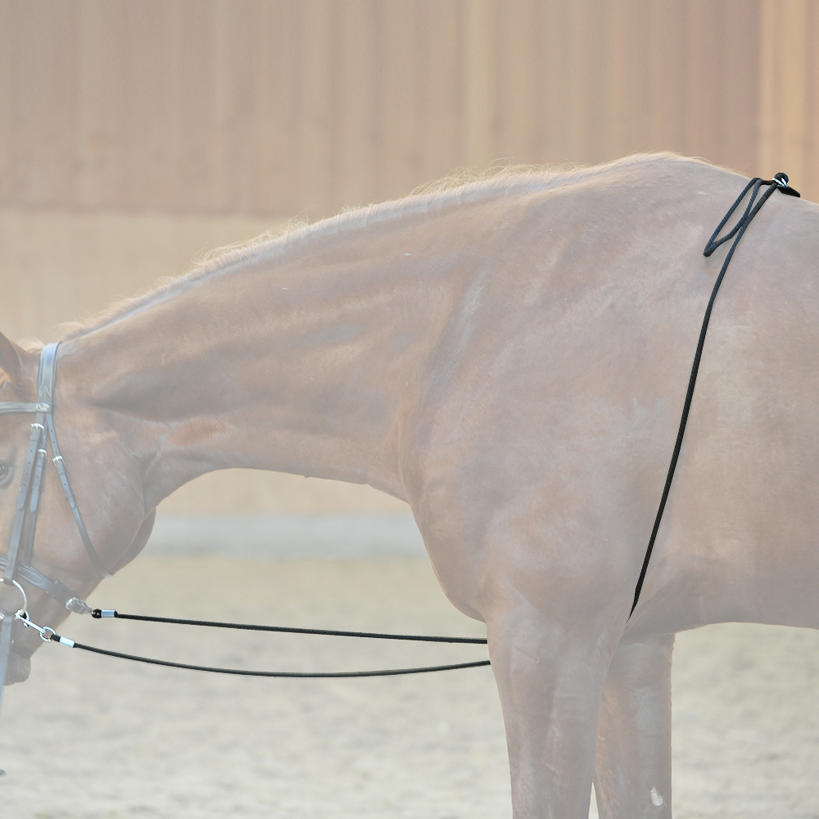 Kavalkade HO longeerhulp