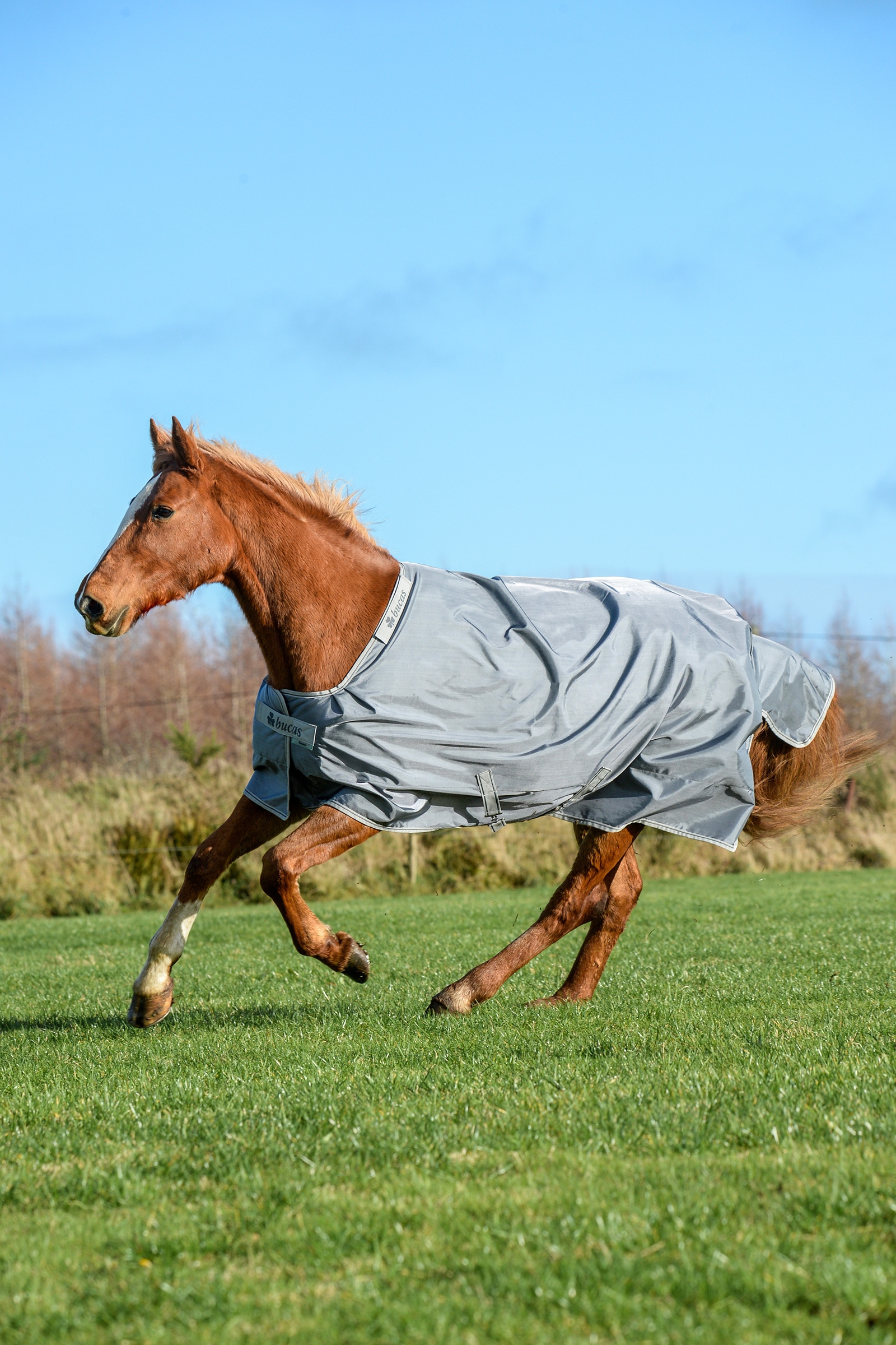 Bucas Smartex Extra Deken, 300g