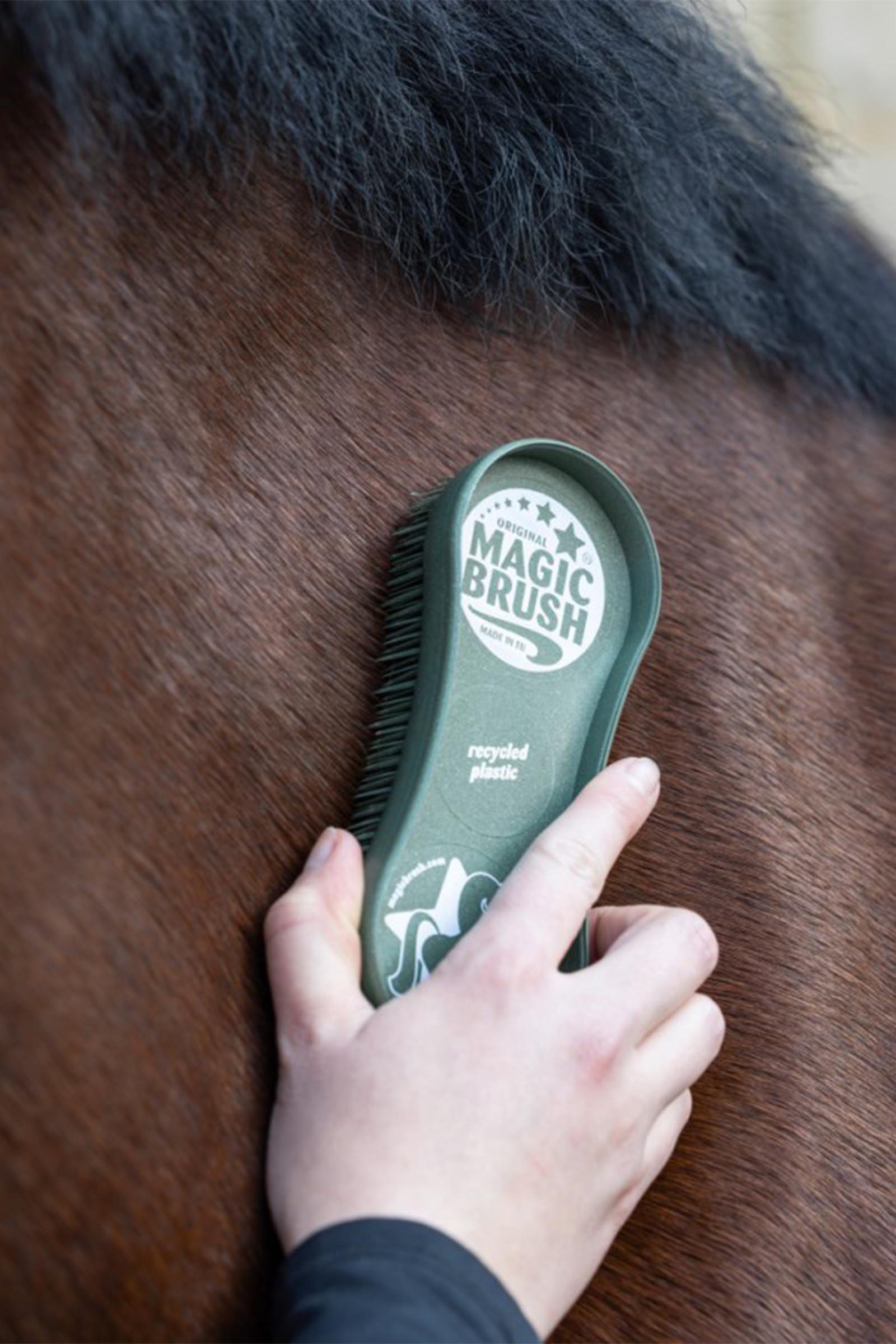 MagicBrush CornFlowers Brush Set