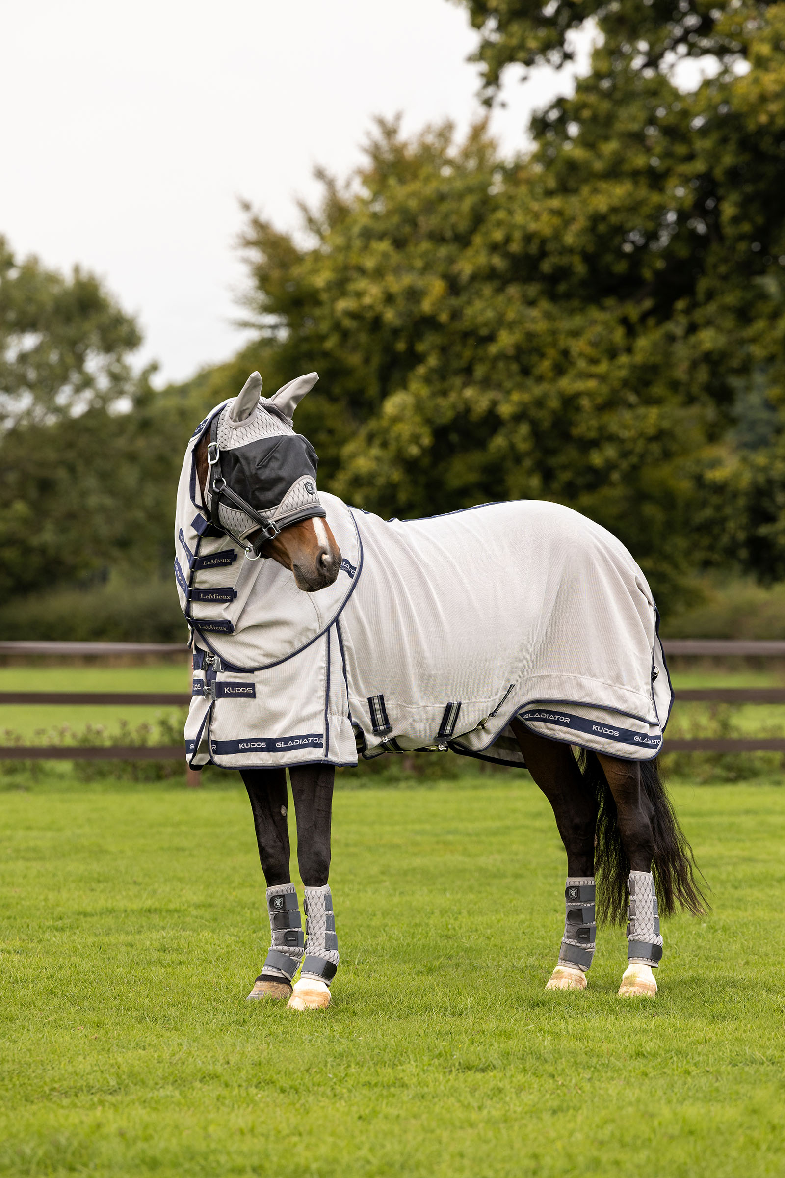 LeMieux Kudos Gladiator vliegendeken