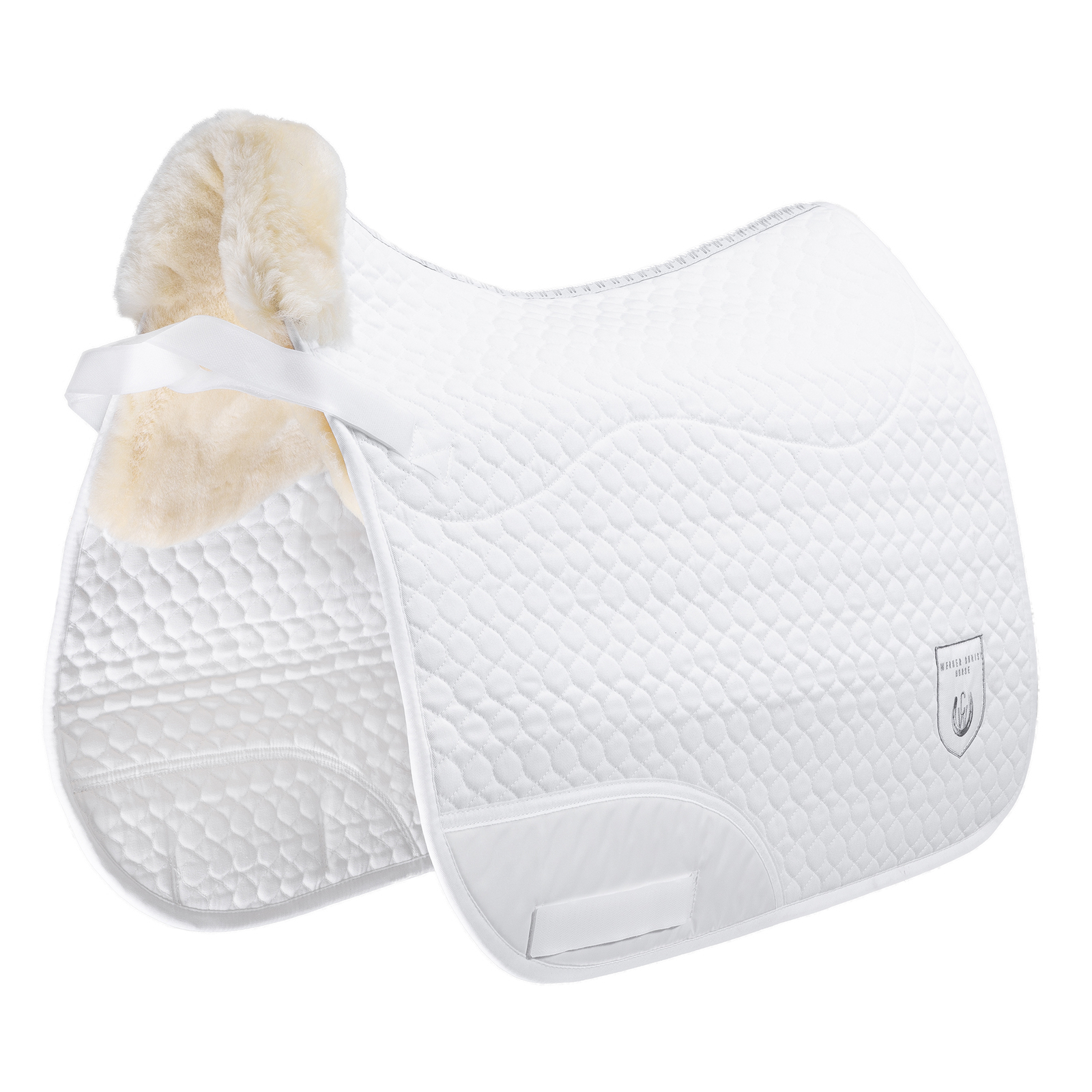 Christ Sjabrak Champ, dressuur