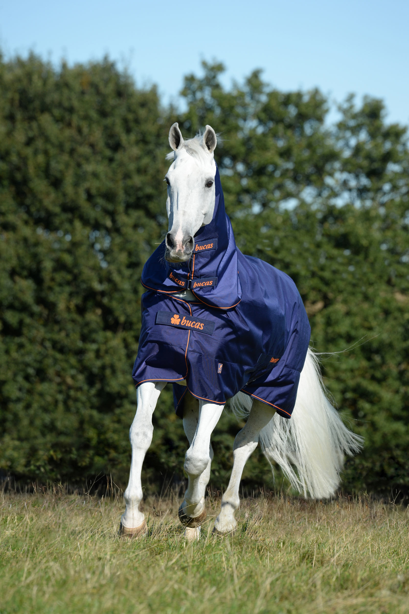 Bucas Therapy halsdeel