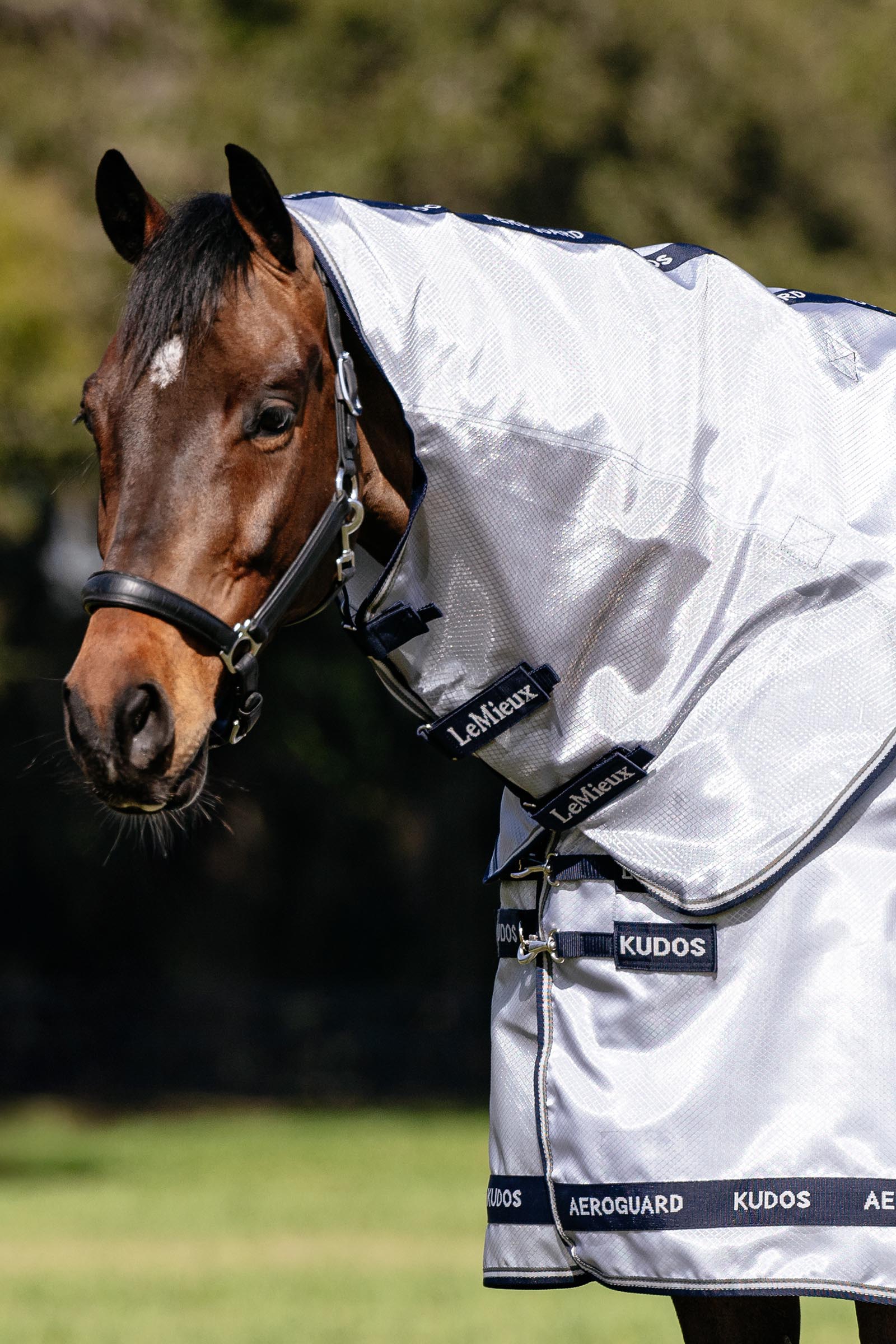 LeMieux Kudos AeroGuard vliegendeken met afneembare hals