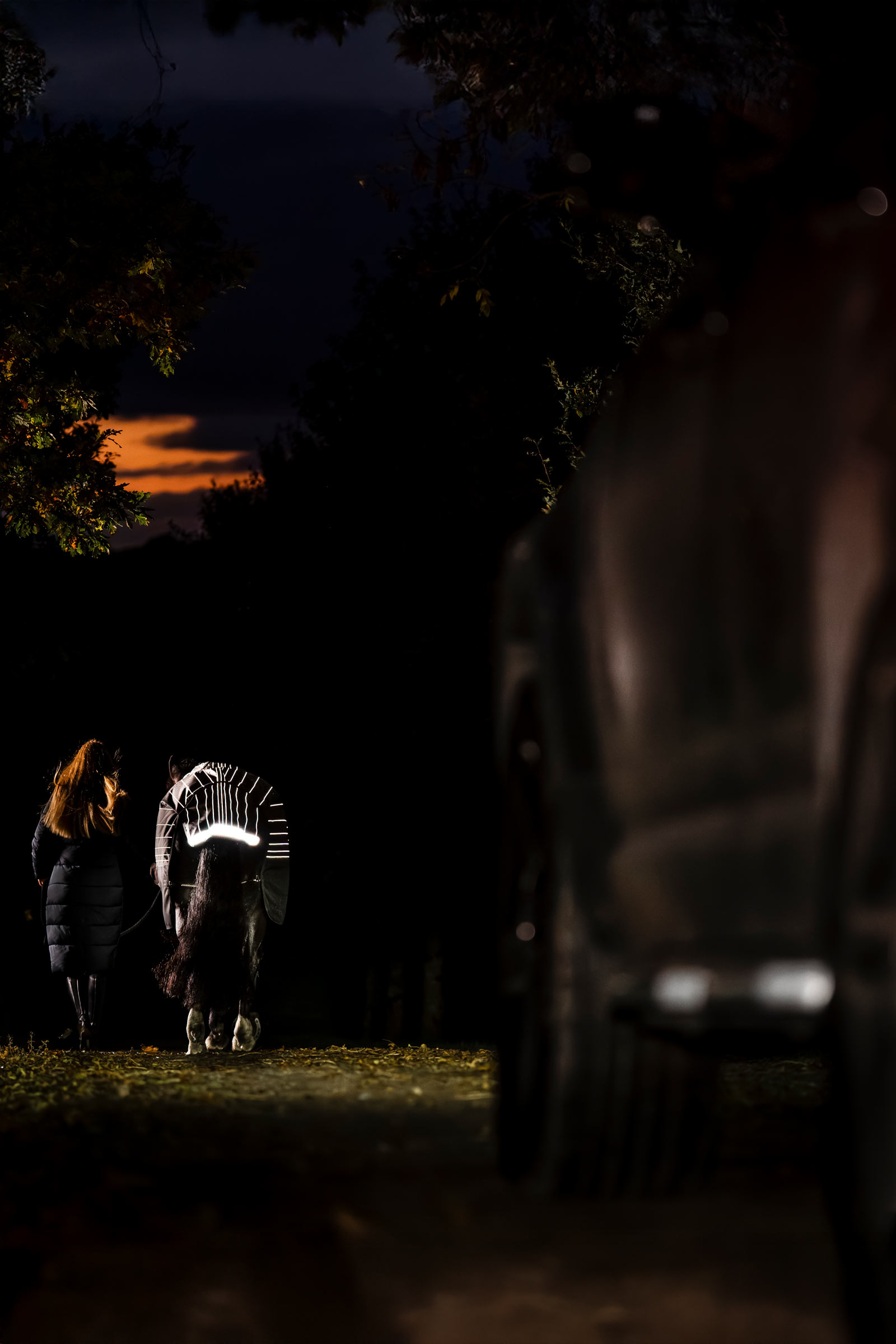 Horseware Amigo 1200D FieldSafe Reflectech Plus regendeken, 100 g