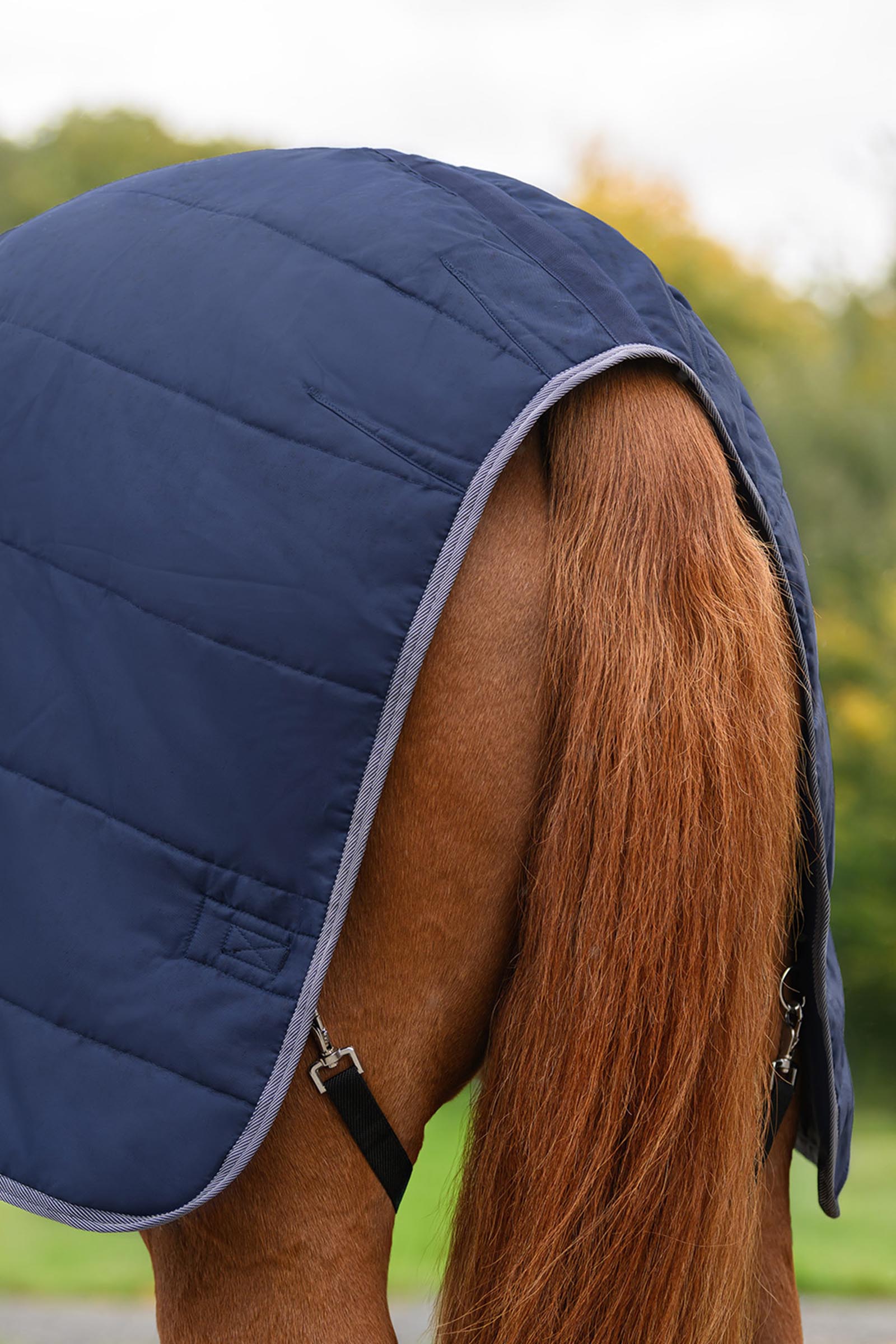 Waldhausen ECONOMIC staldeken, 100g