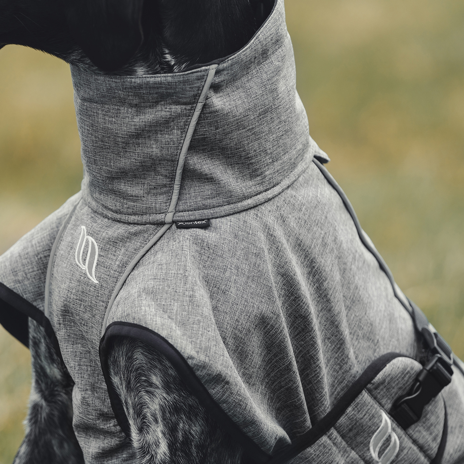 Back on Track Nella All-Round Dog Coat 55-65 cm