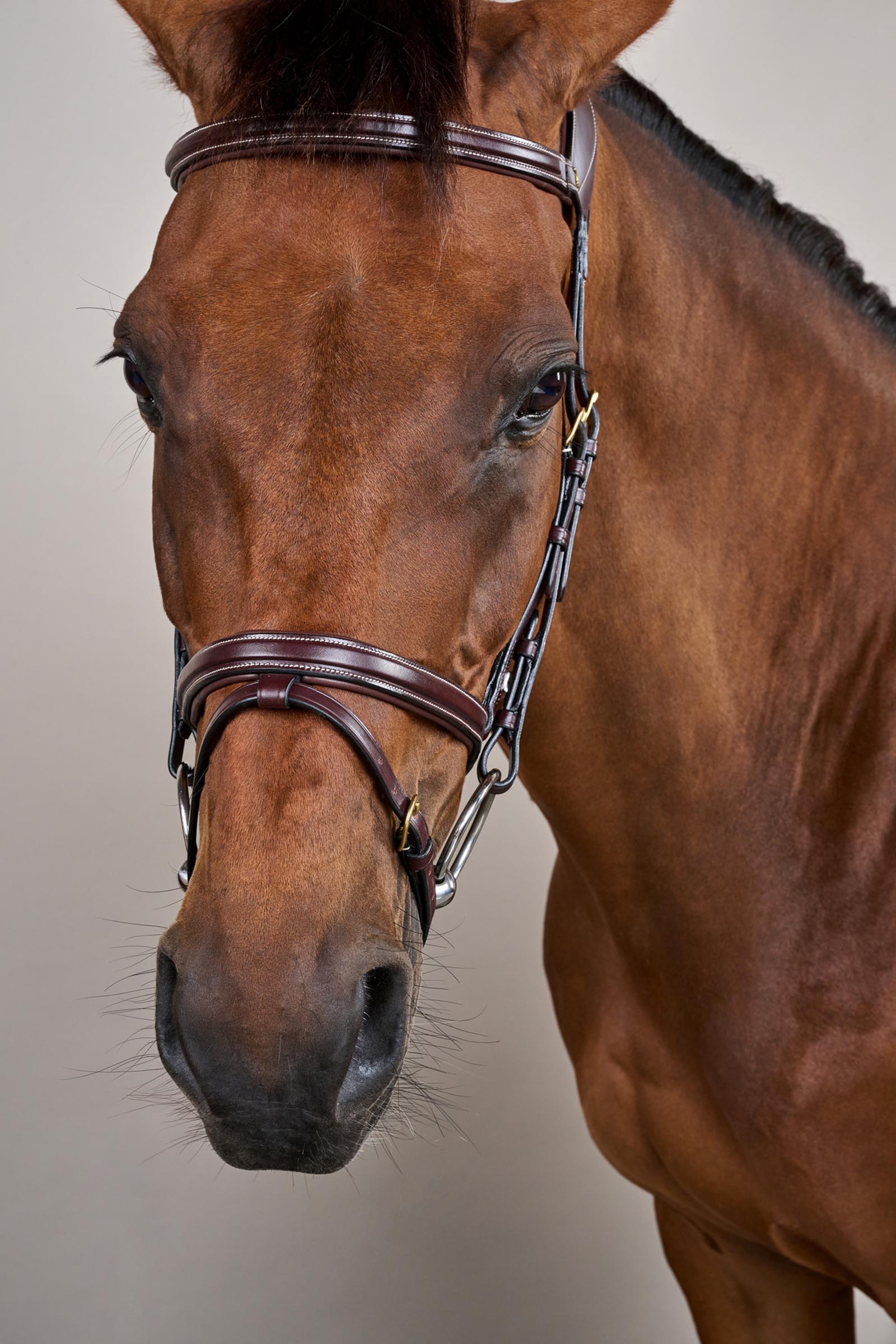 Dy'on D-Collection Difference hoofdstel  