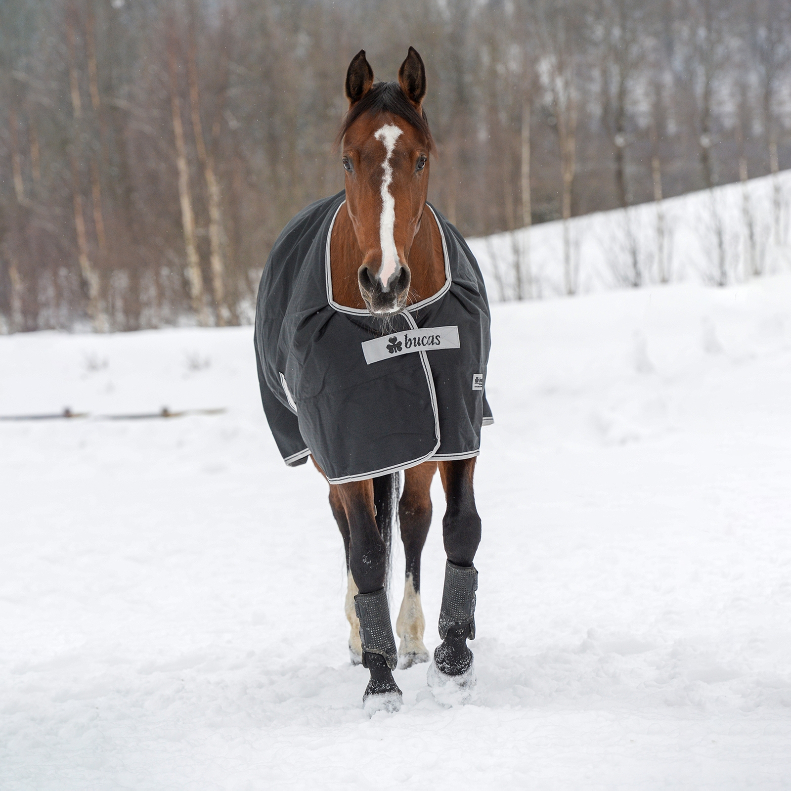 Bucas Anniversary Light SD Regendeken, 150 grams