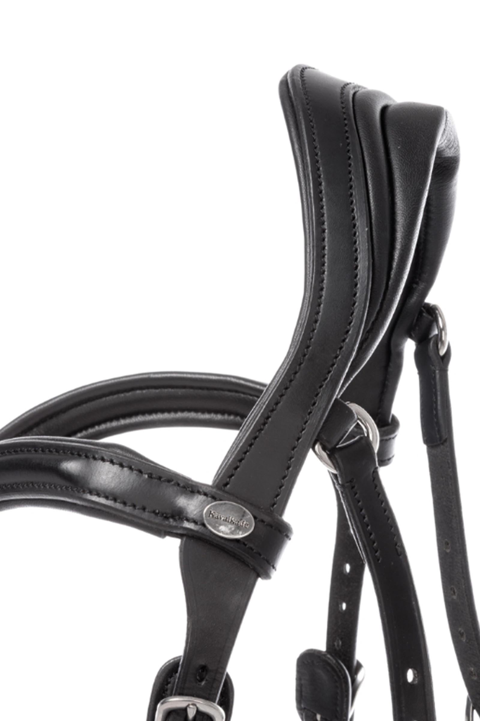 Kavalkade Cajus hoofdstel Engels gecombineerd anatomisch