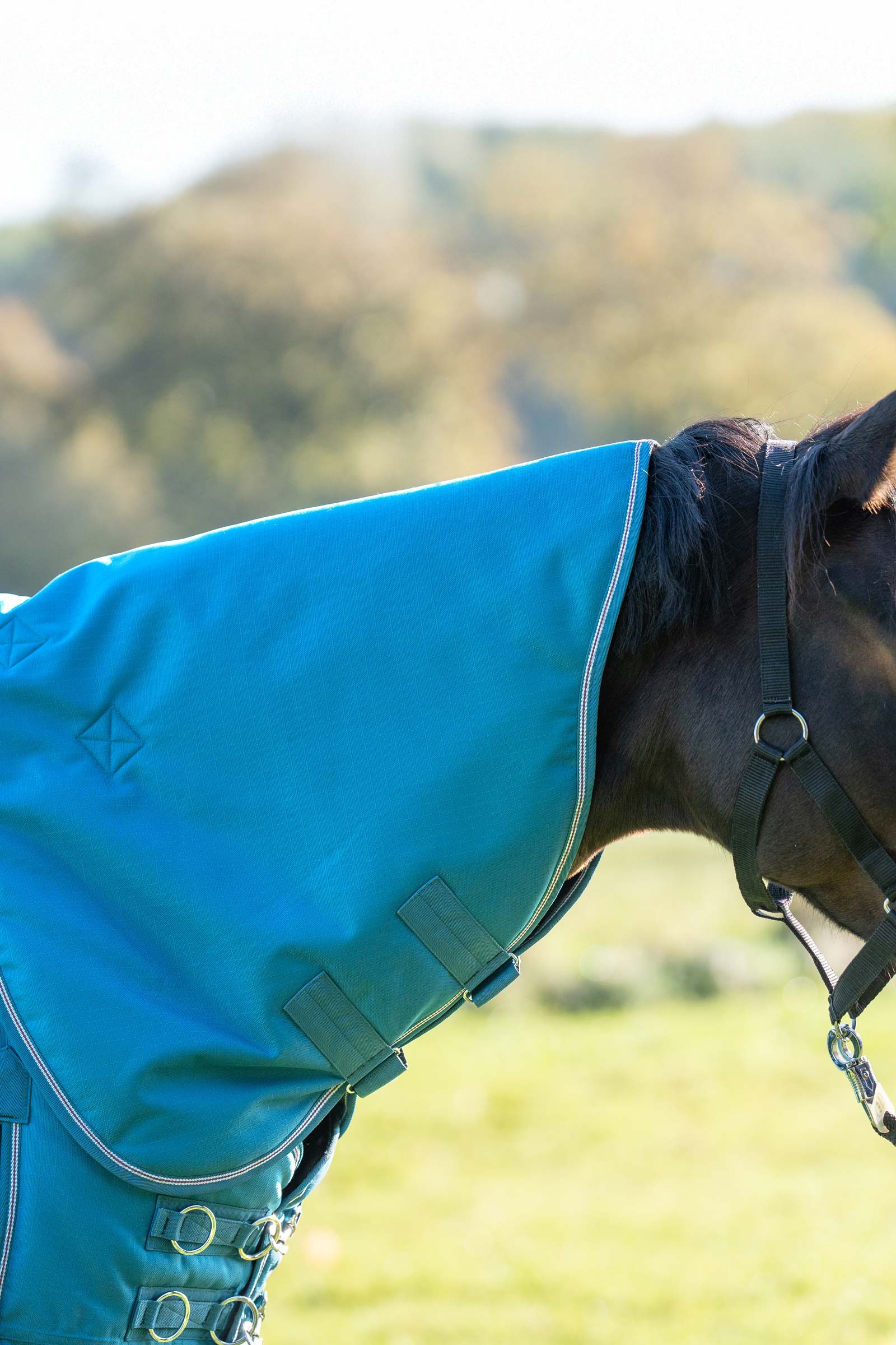 Petrol/Petrol-Bordeaux-White Kavalkade Hals voor Alaska IV, 100 g