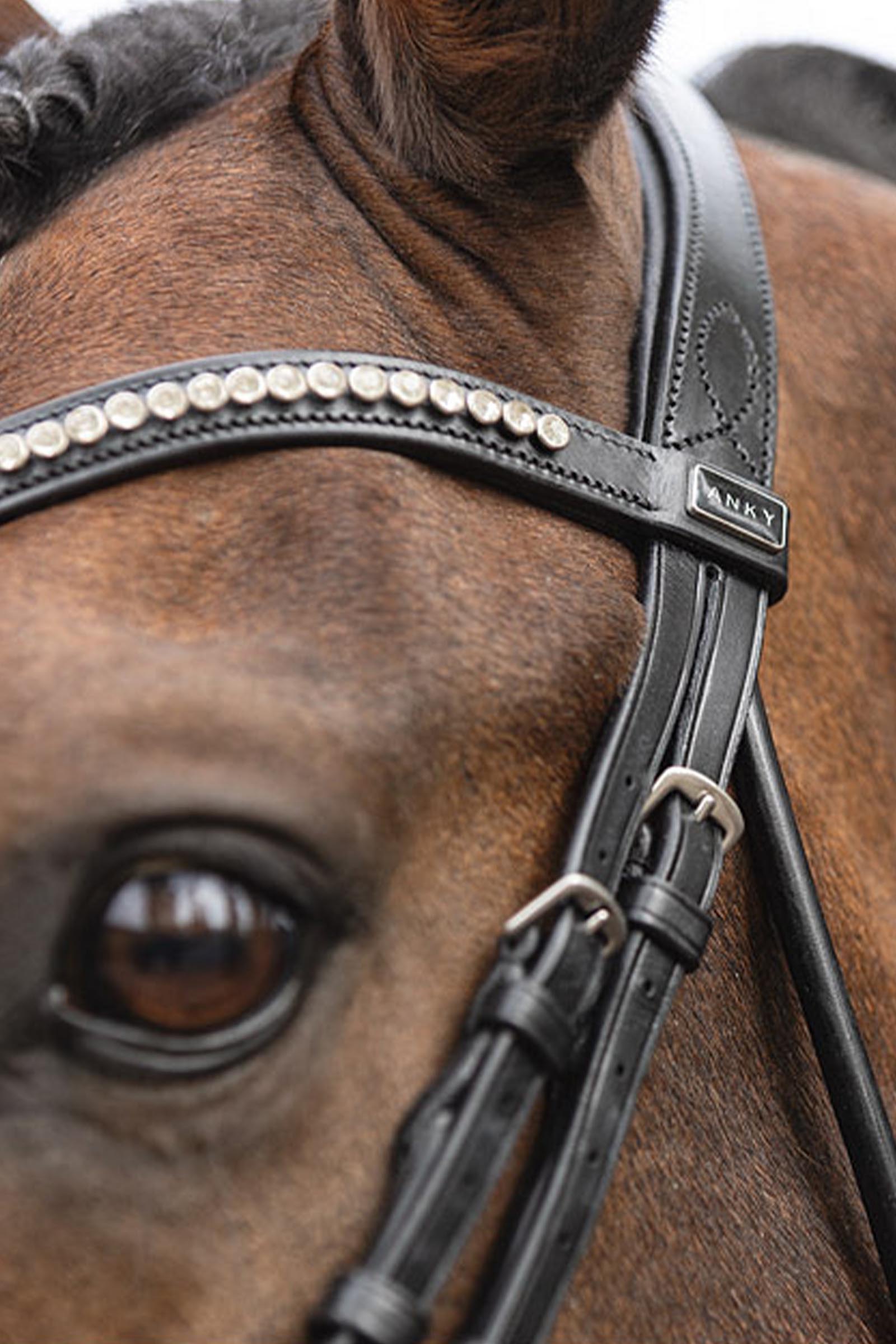 ANKY Anatomic Hoofdstel met Gevormde Neusriem