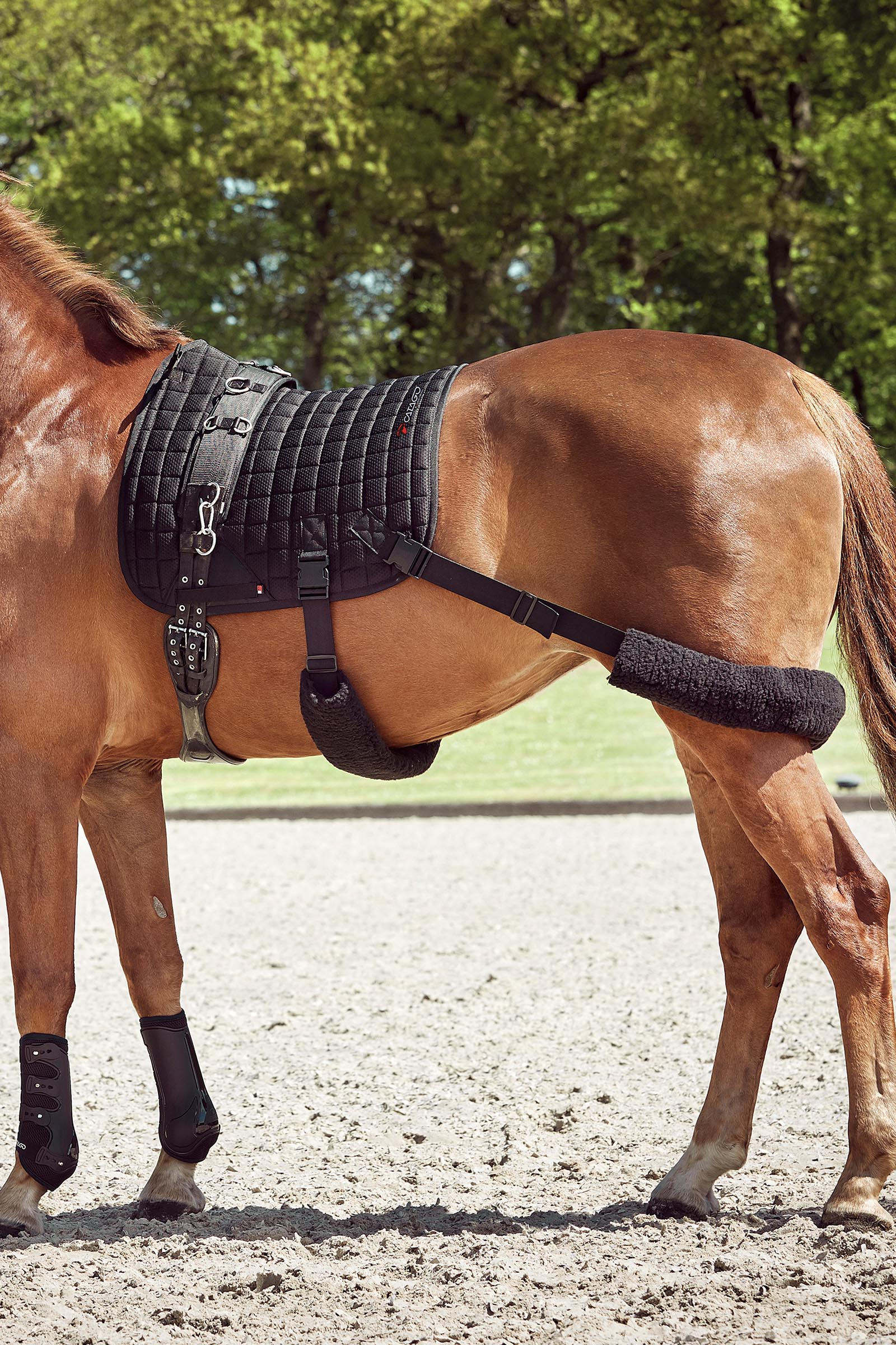 Catago FIR-Tech trainingszadeldek met elastische banden