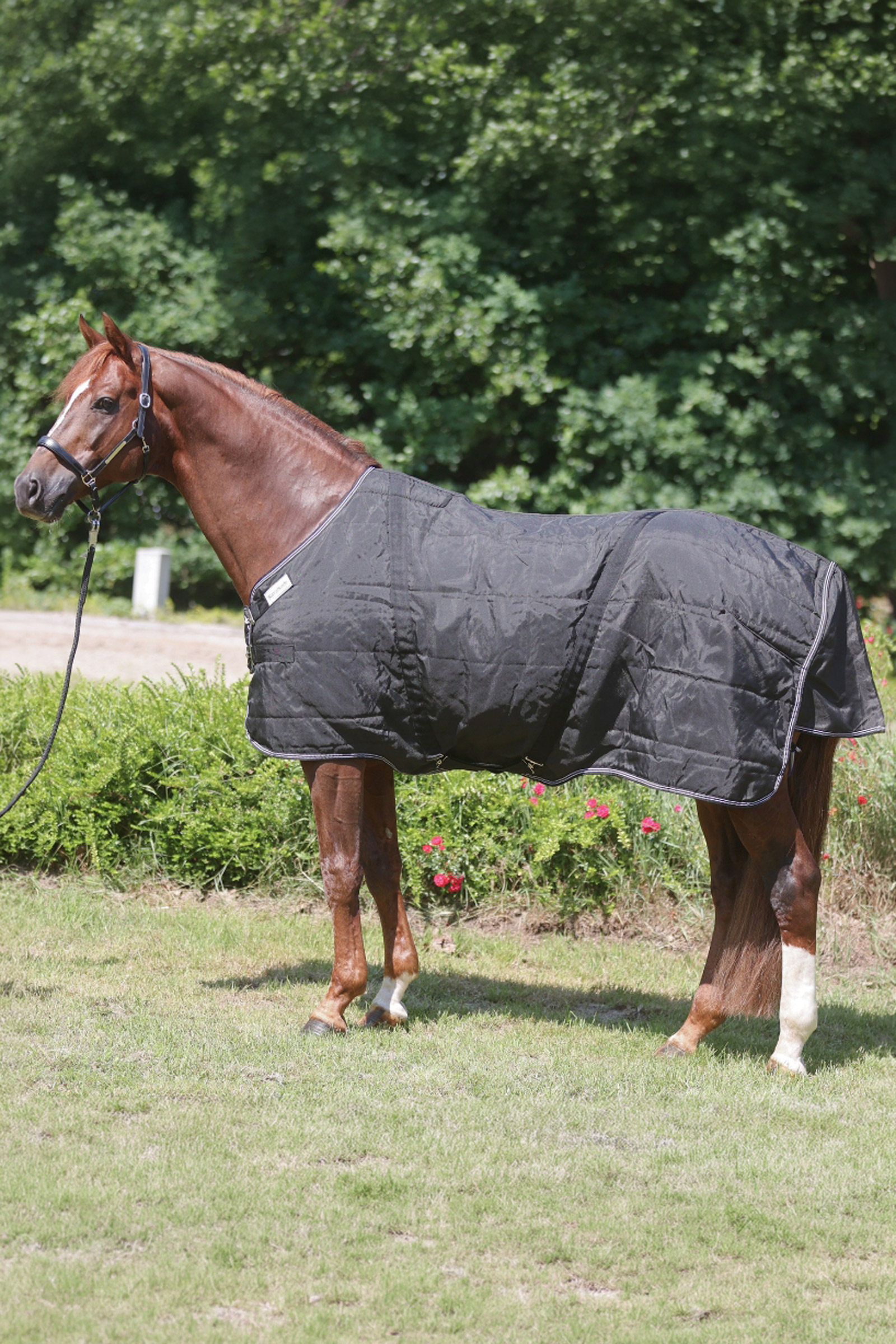 Kavalkade Stallion deken met borstflap, 200 g