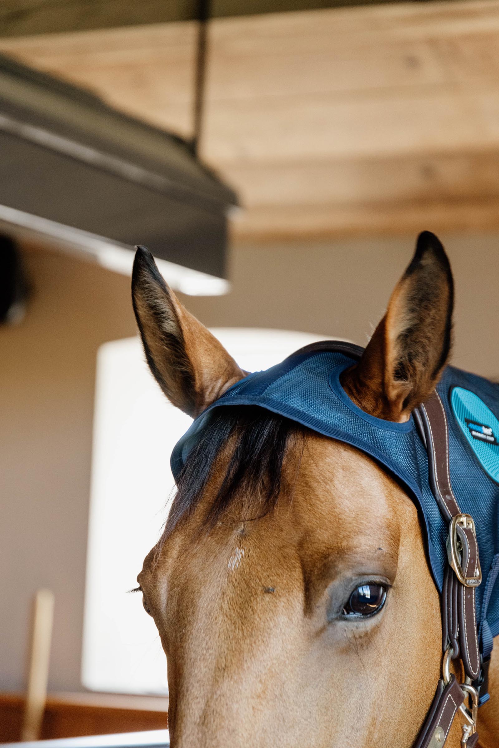 Kentucky Horseware Recuptex magnetische nekbeschermer