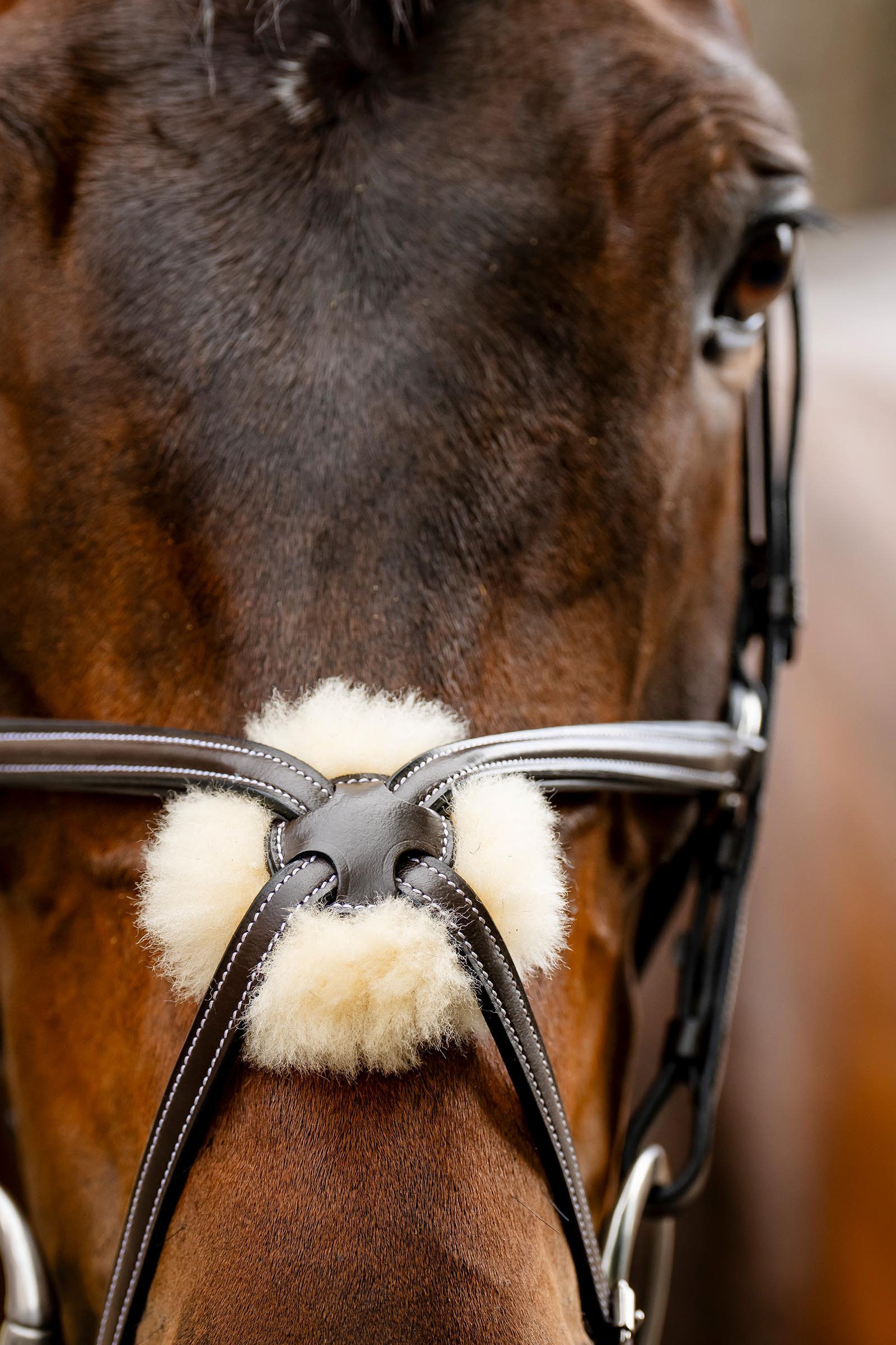 Horseware hoofdstel met figuur-8 neusriem