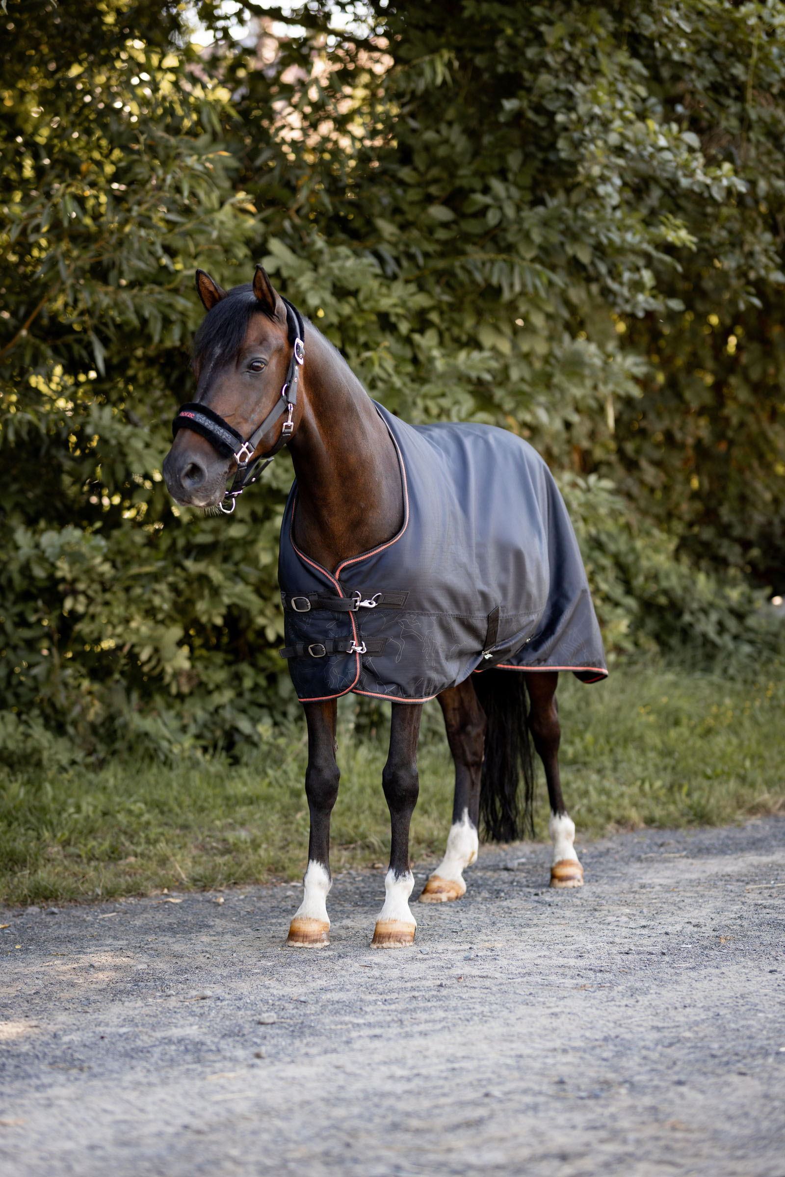 Horze Pegasus pony regendeken met fleecevoering