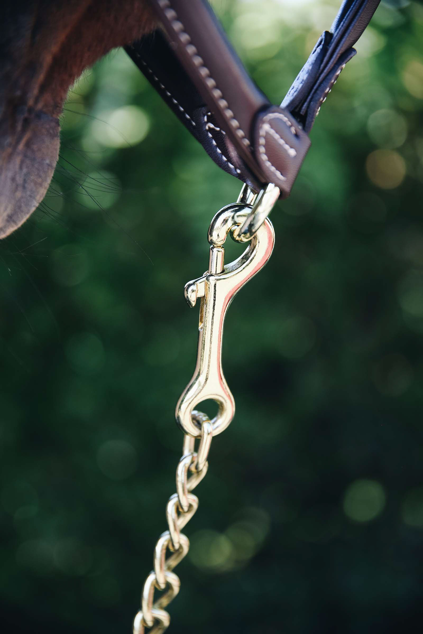 Kentucky Horsewear Hengstenketting 60 Cm