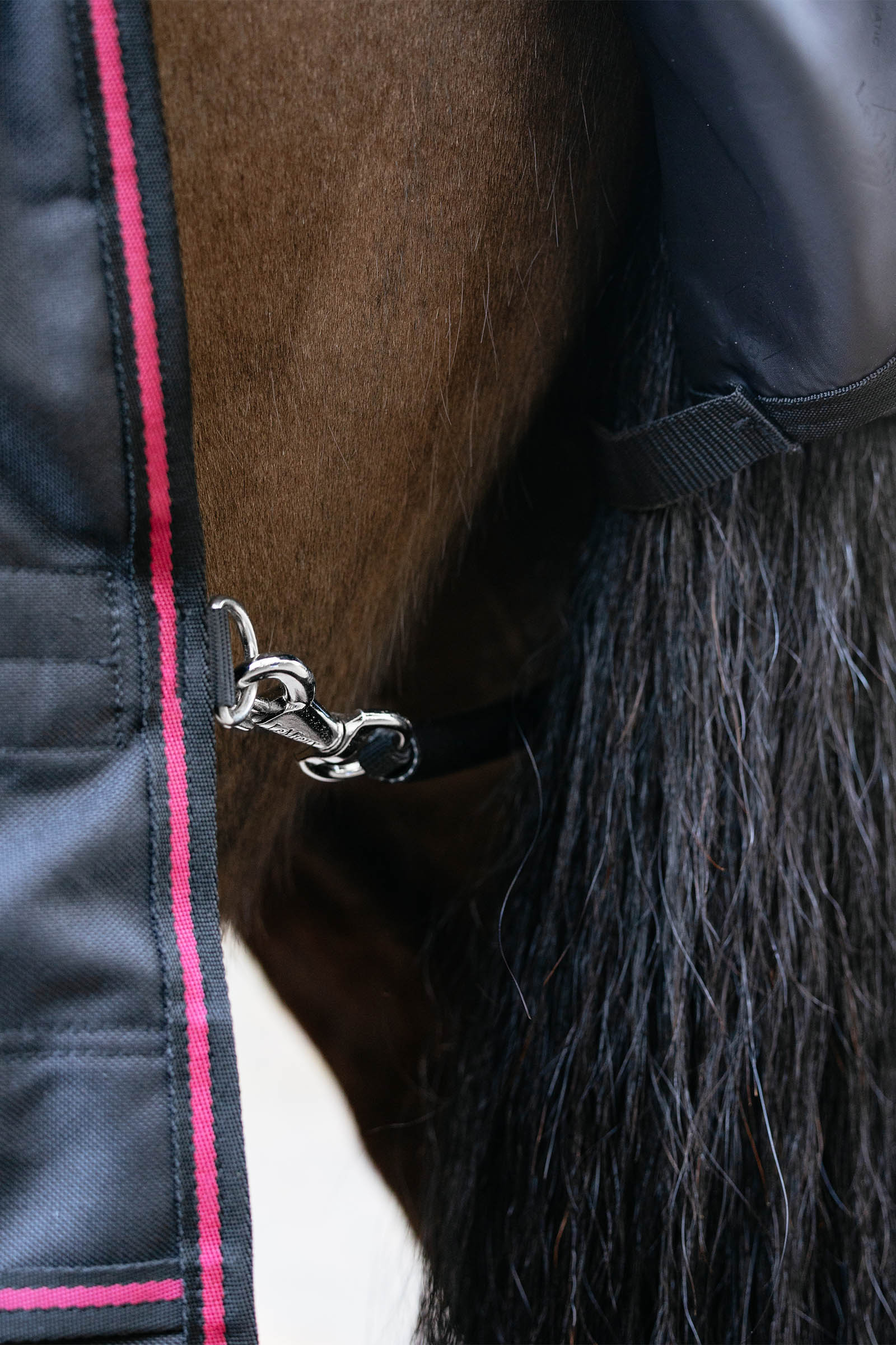 LeMieux Arika Storm-Tek regendeken met afneembare hals, 50 g