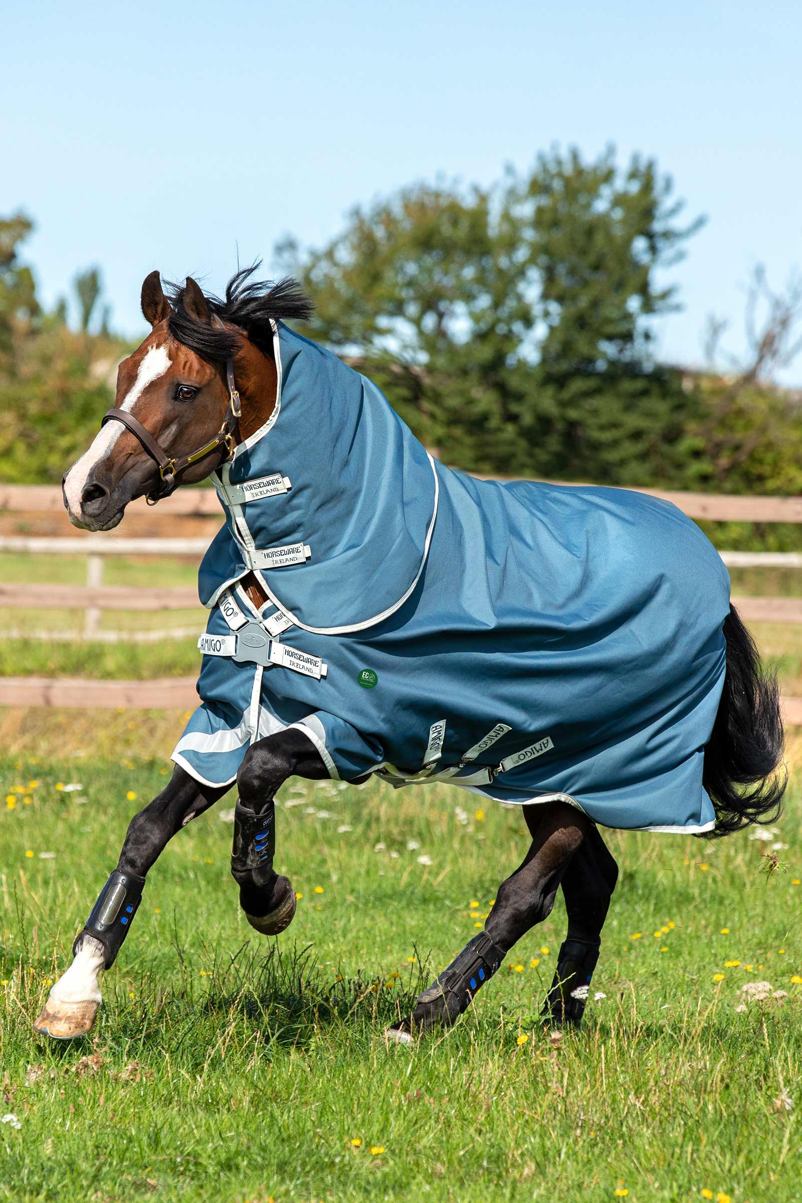 Horseware Amigo AmEco 12 Plus outdoordeken met afneembaar halsdeel, 0 g