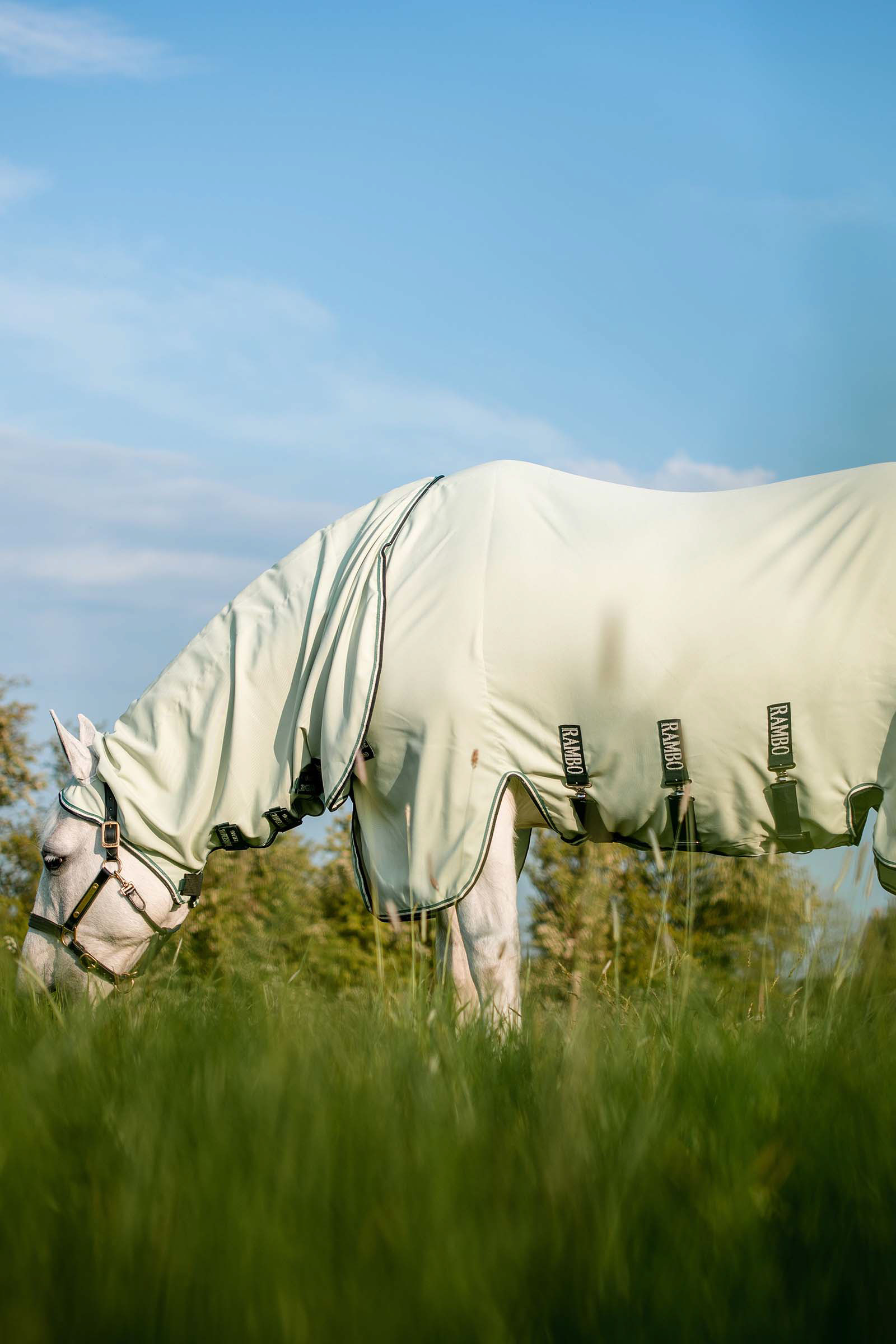 Horseware Rambo eczeemdeken XL