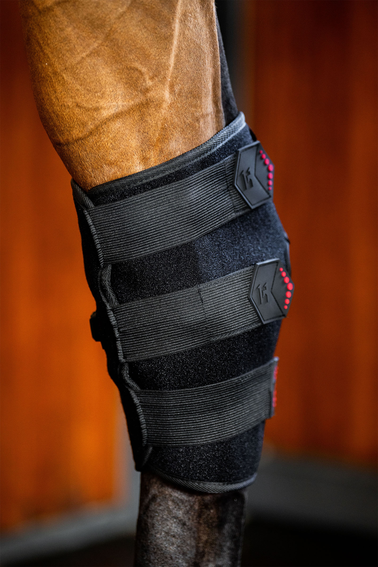 Horseware LED roodlichttherapie sprongbeschermer (1 st.)