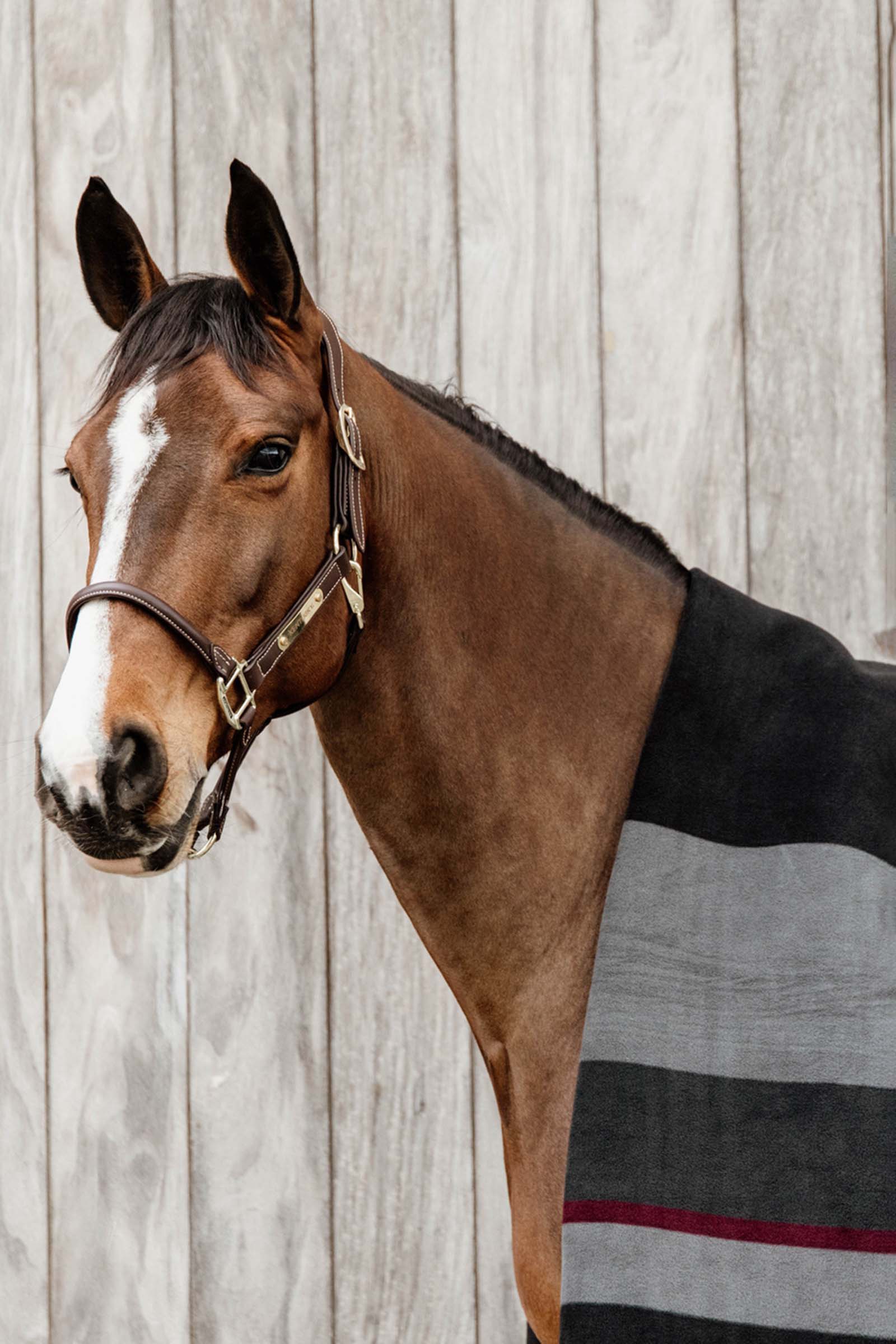 Kentucky Horsewear Heavy Fleece Deken Square