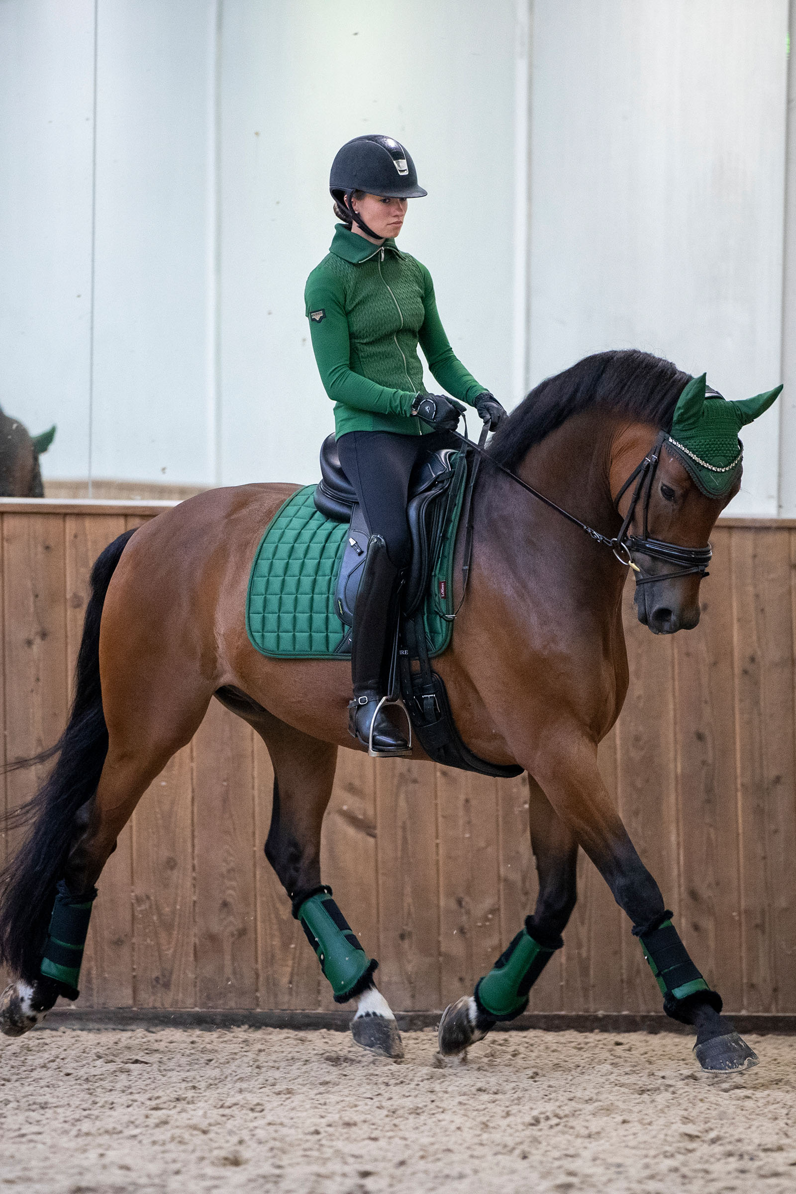 LeMieux Loire Classic dressuurzadeldek